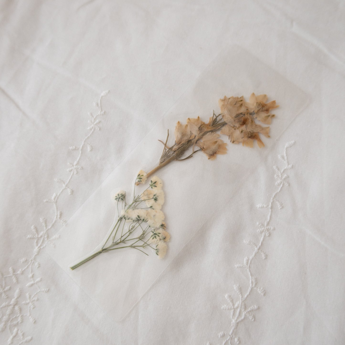 Meg March Bookmark