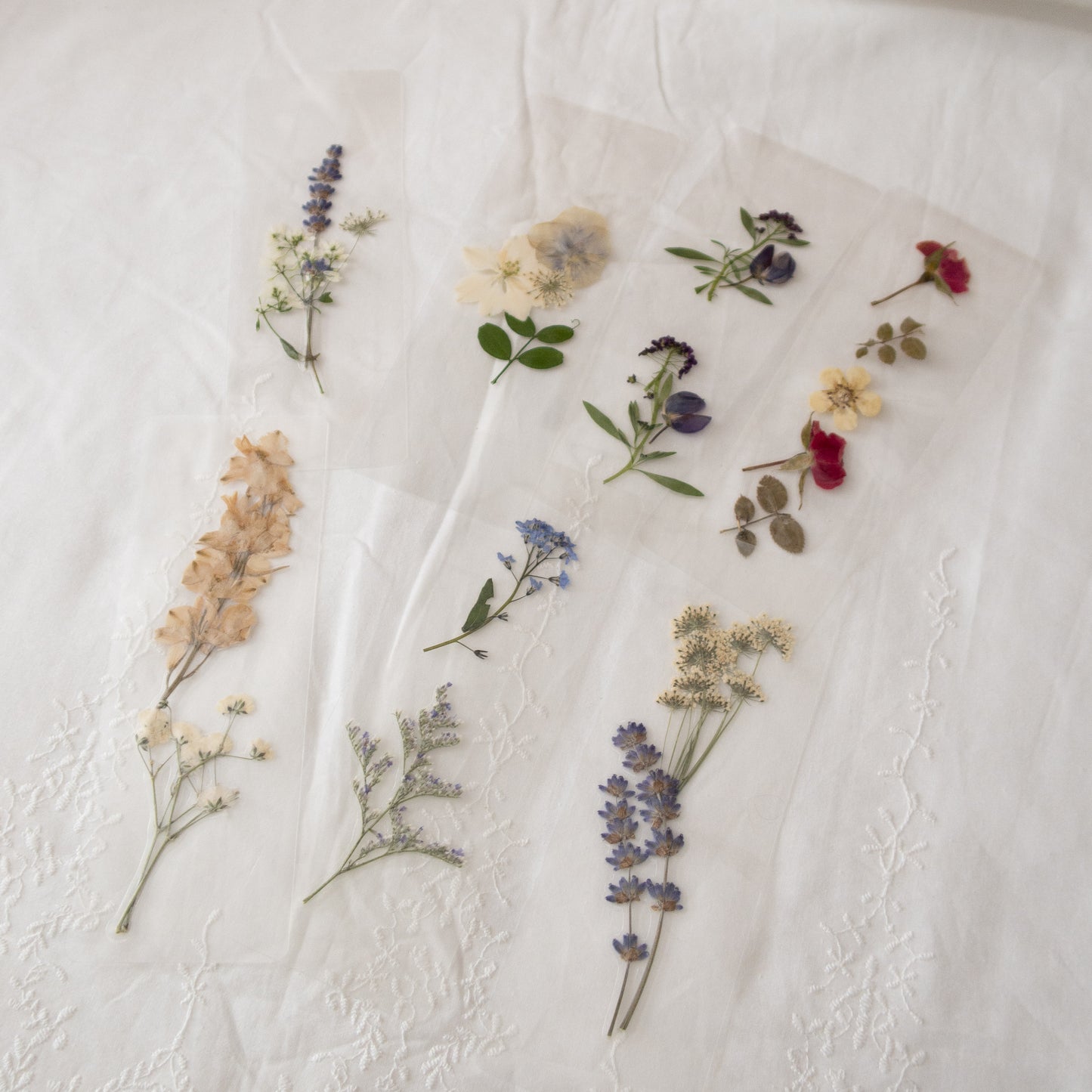 Marmee Bookmark