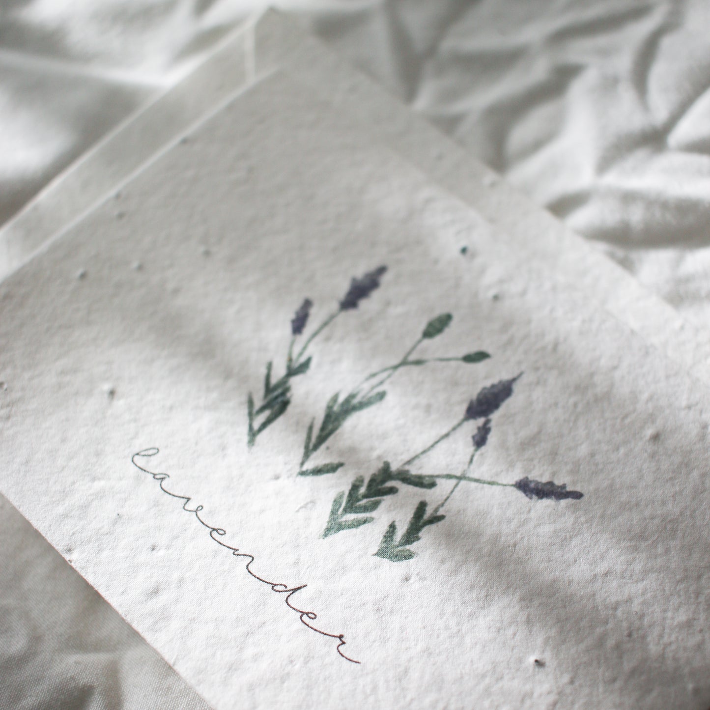 Plantable Lavender Watercolor Greeting Card