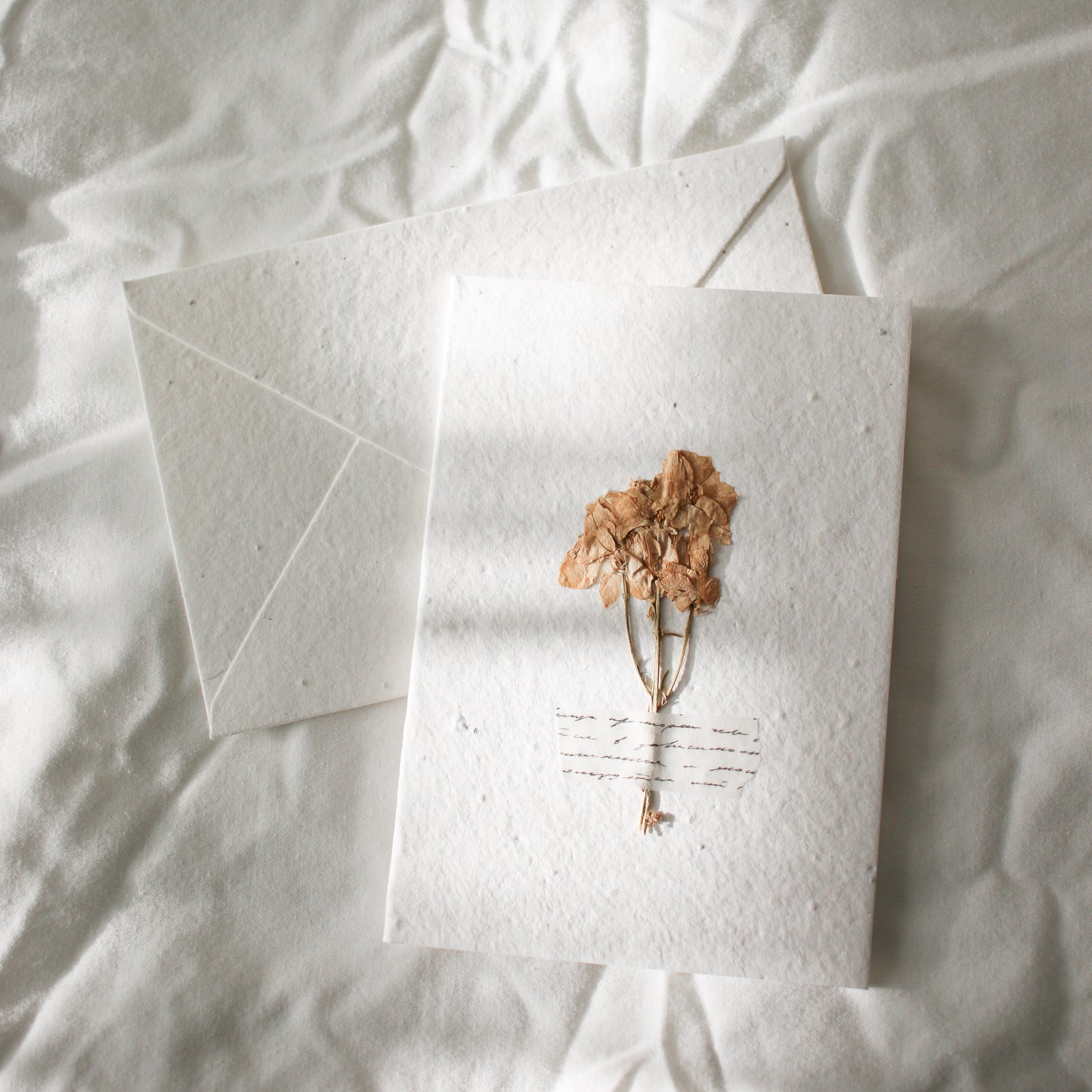 Pressed Flower Plantable Greeting Card