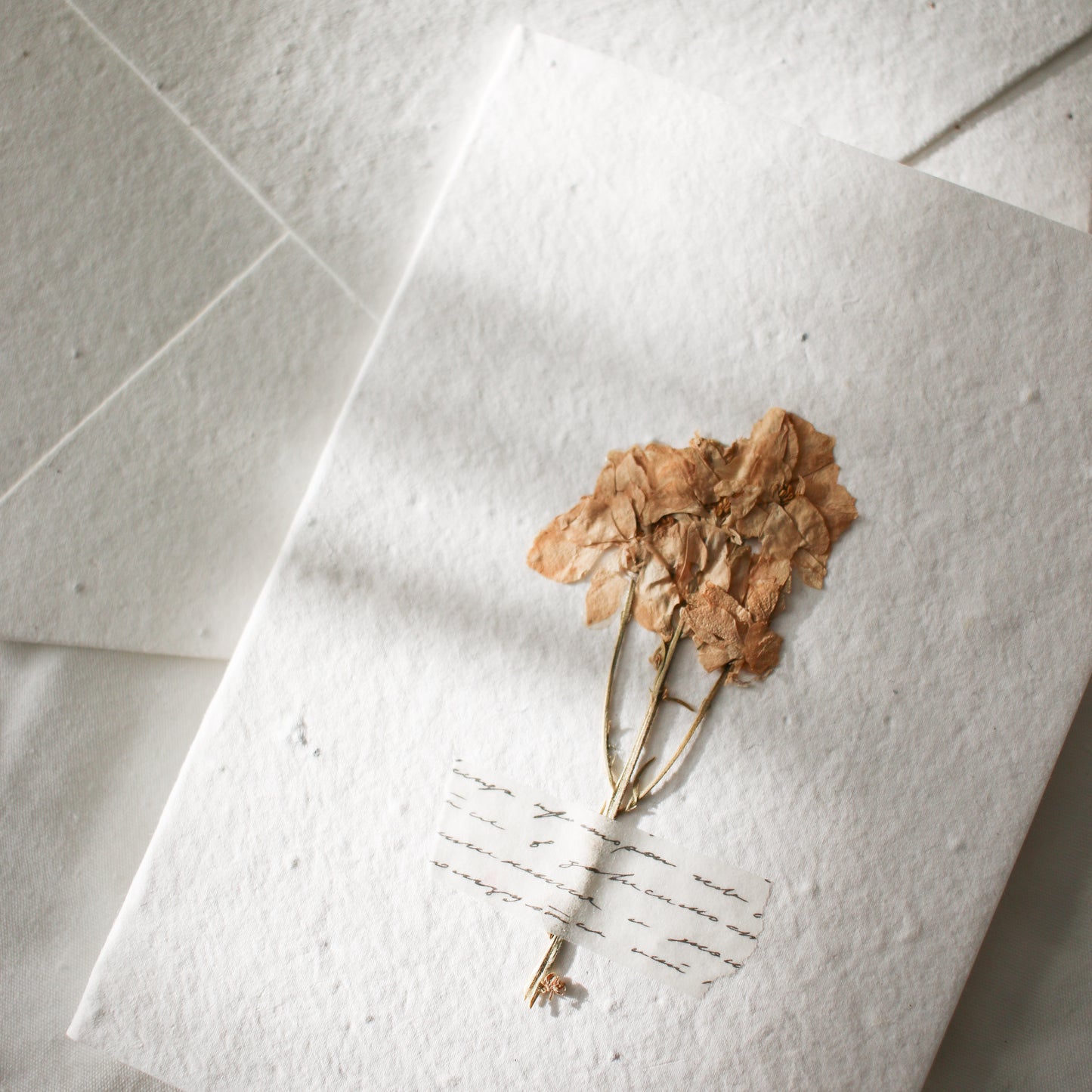Pressed Flower Plantable Greeting Card