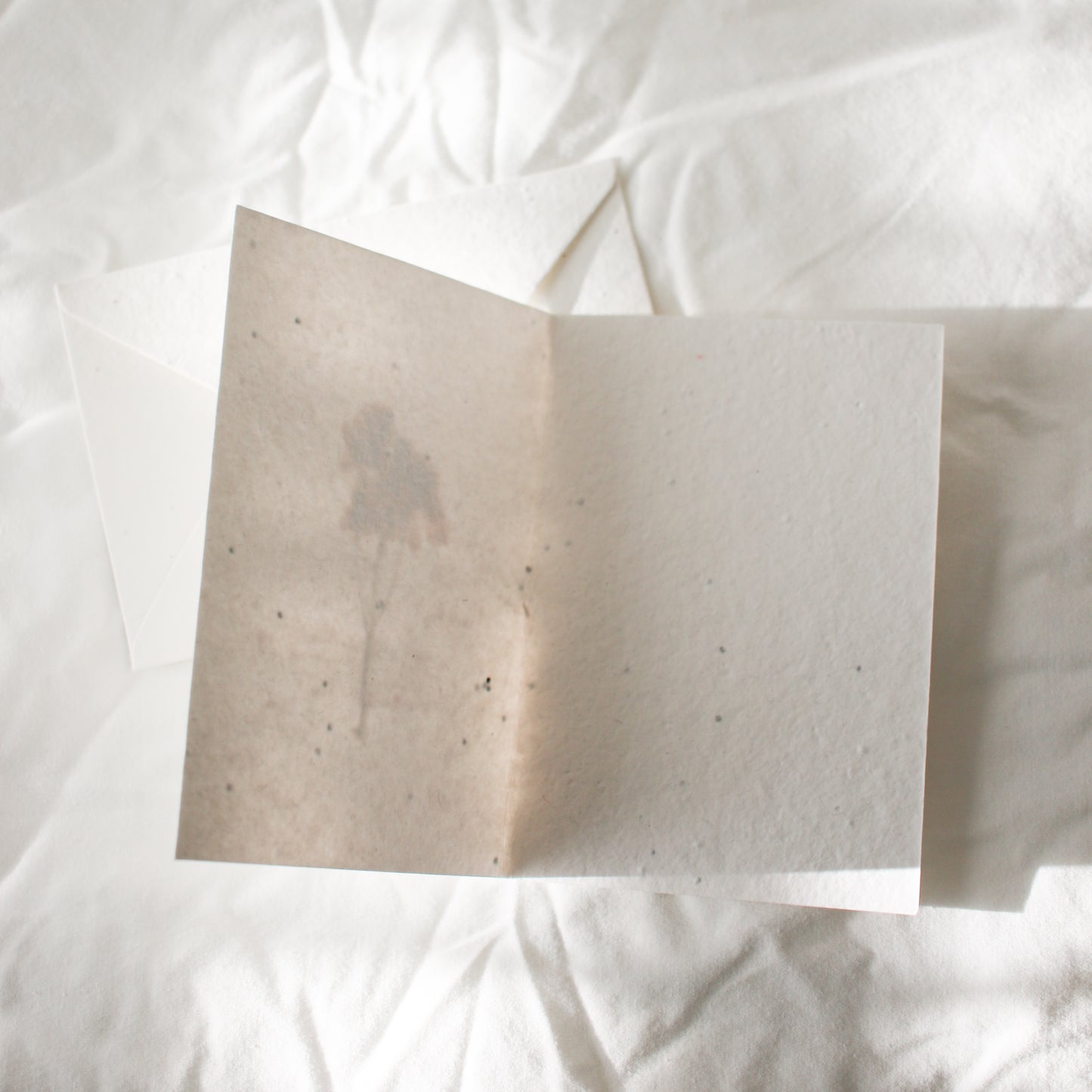 Pressed Flower Plantable Greeting Card
