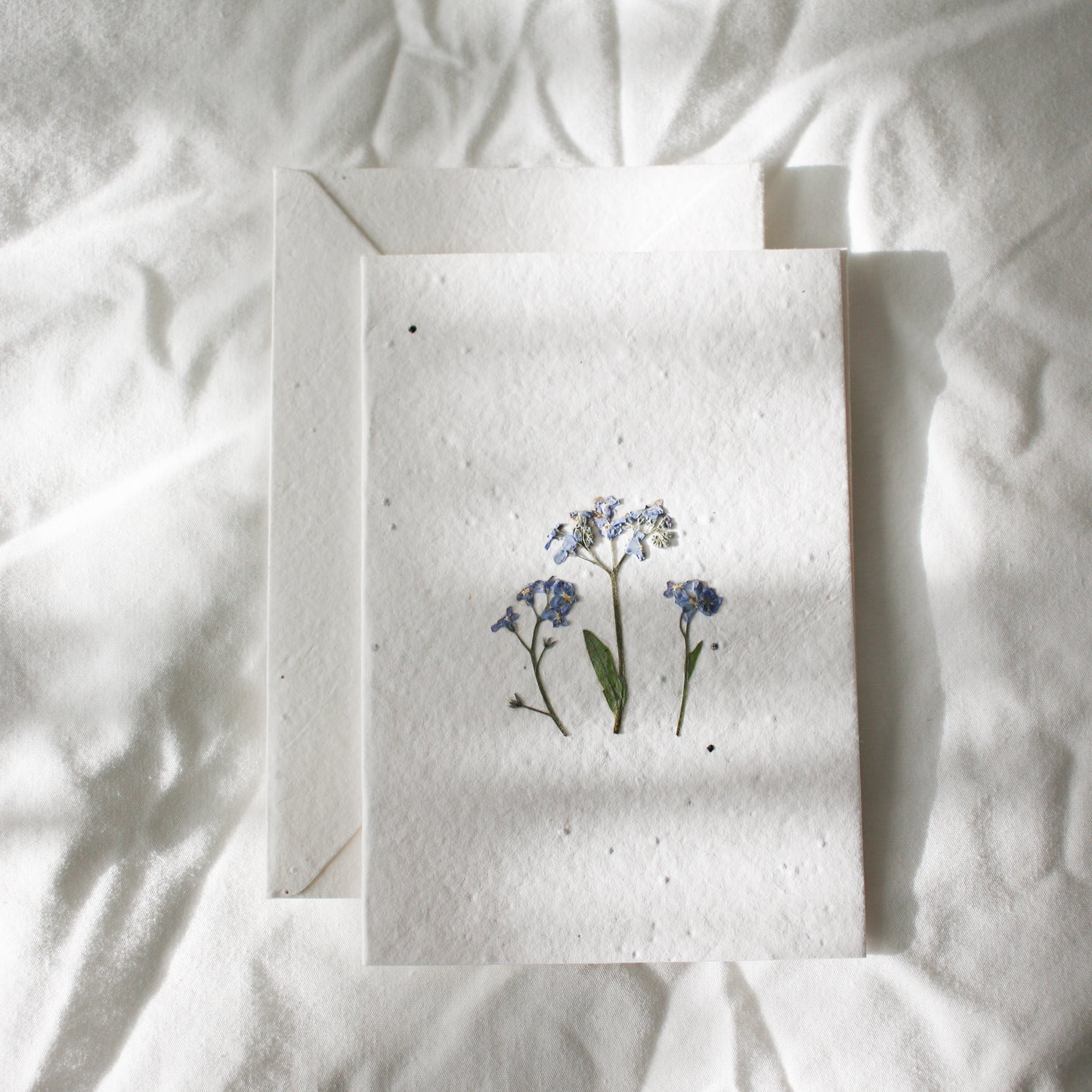 Pressed Flower Plantable Greeting Card