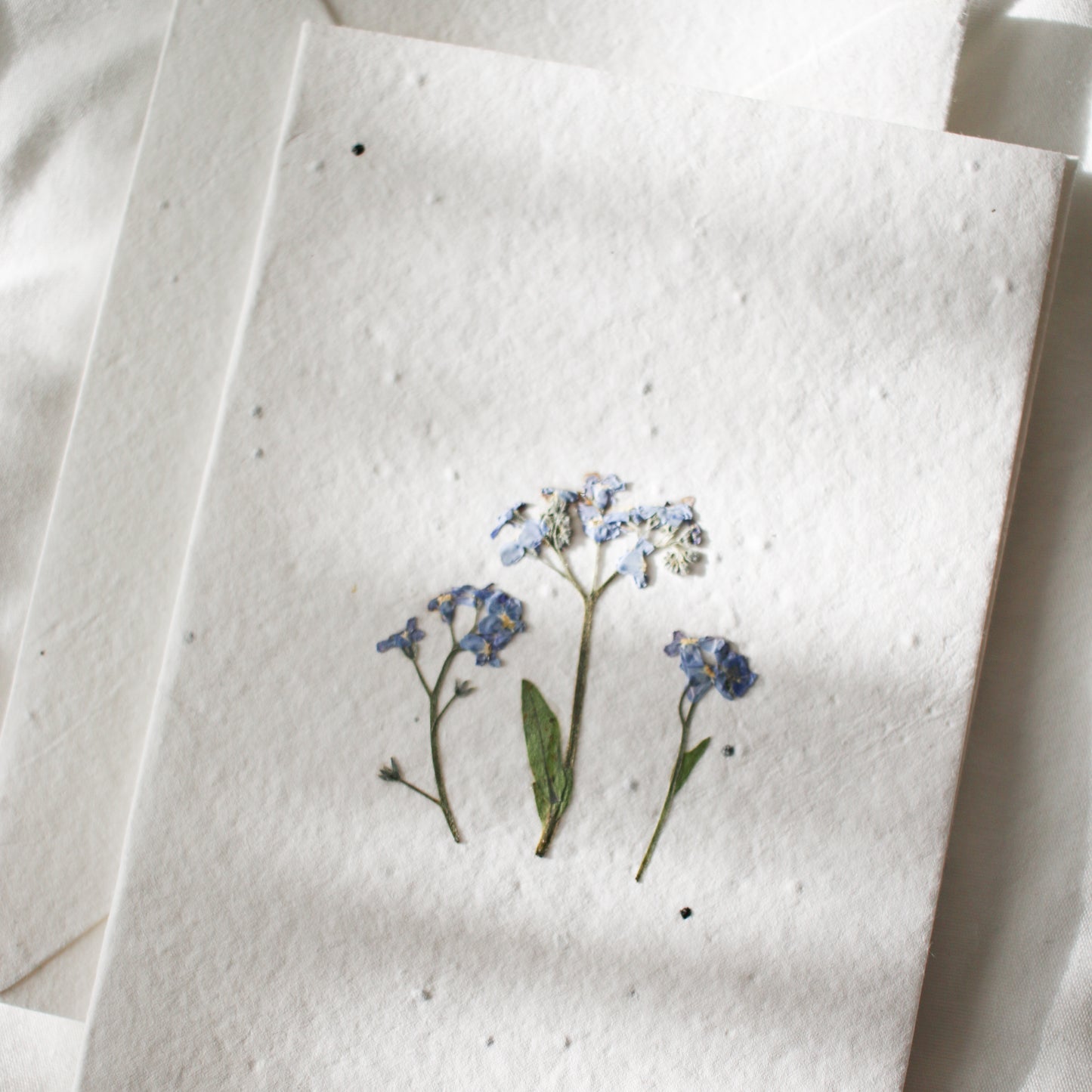 Pressed Flower Plantable Greeting Card
