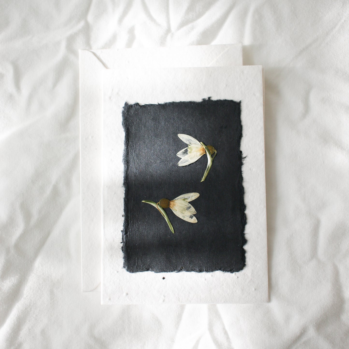 Pressed Flower Plantable Greeting Card