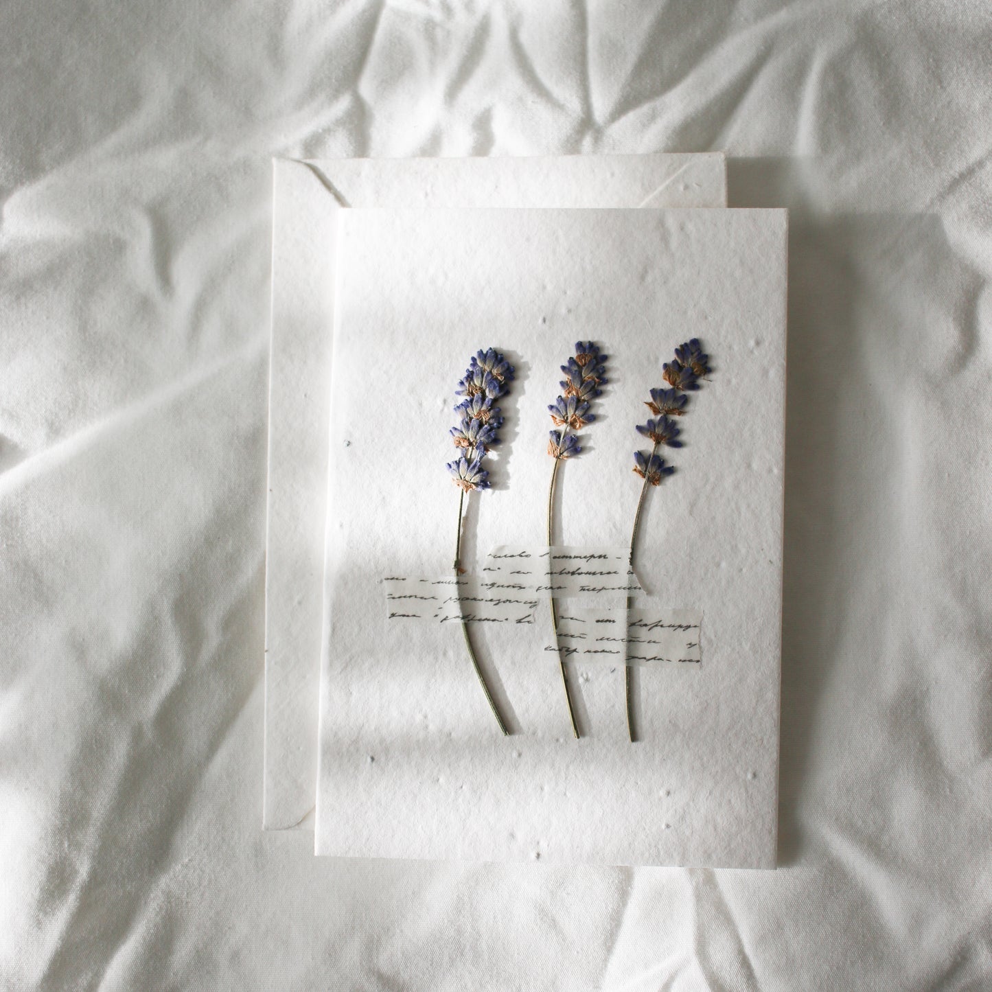 Pressed Flower Plantable Greeting Card
