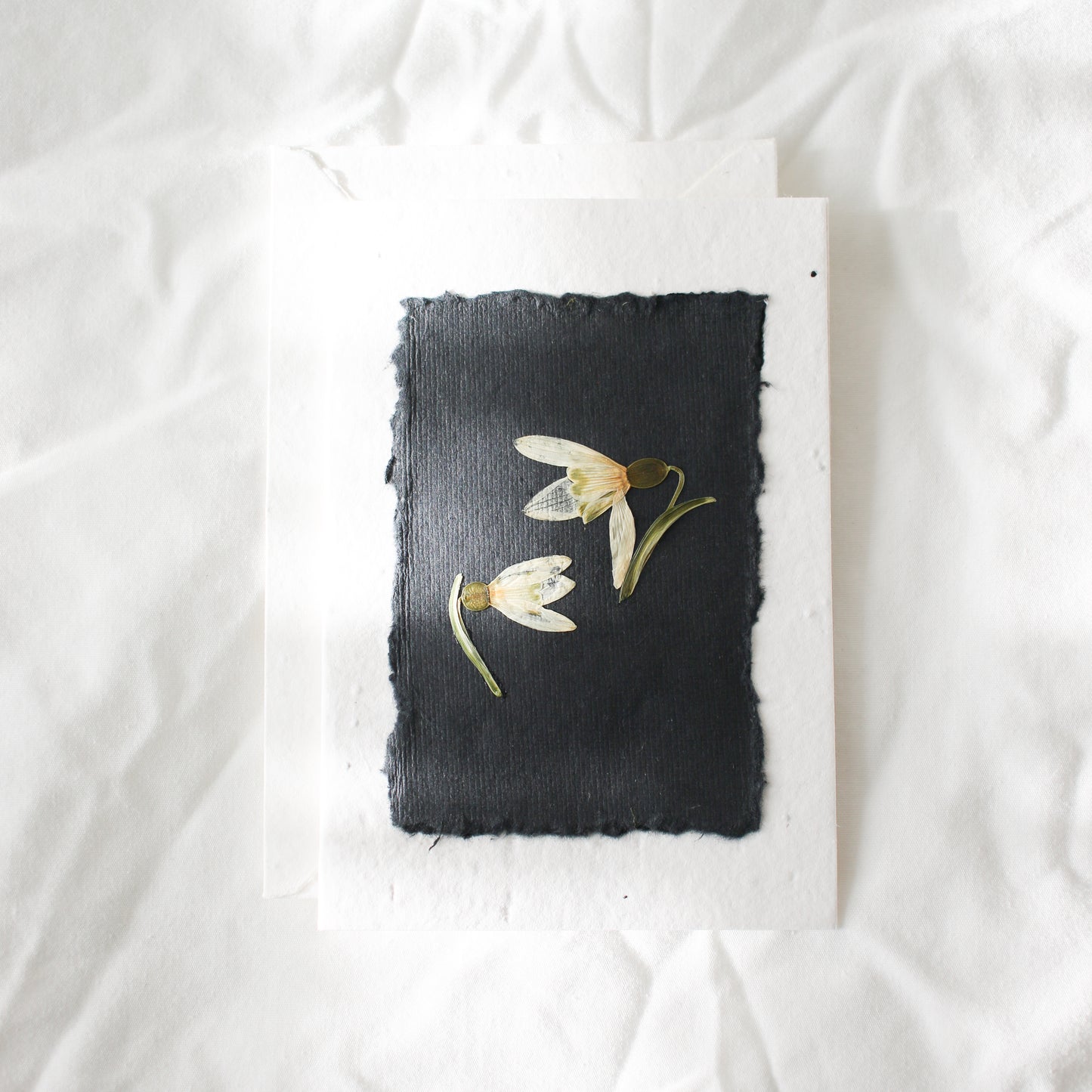 Pressed Flower Plantable Greeting Card