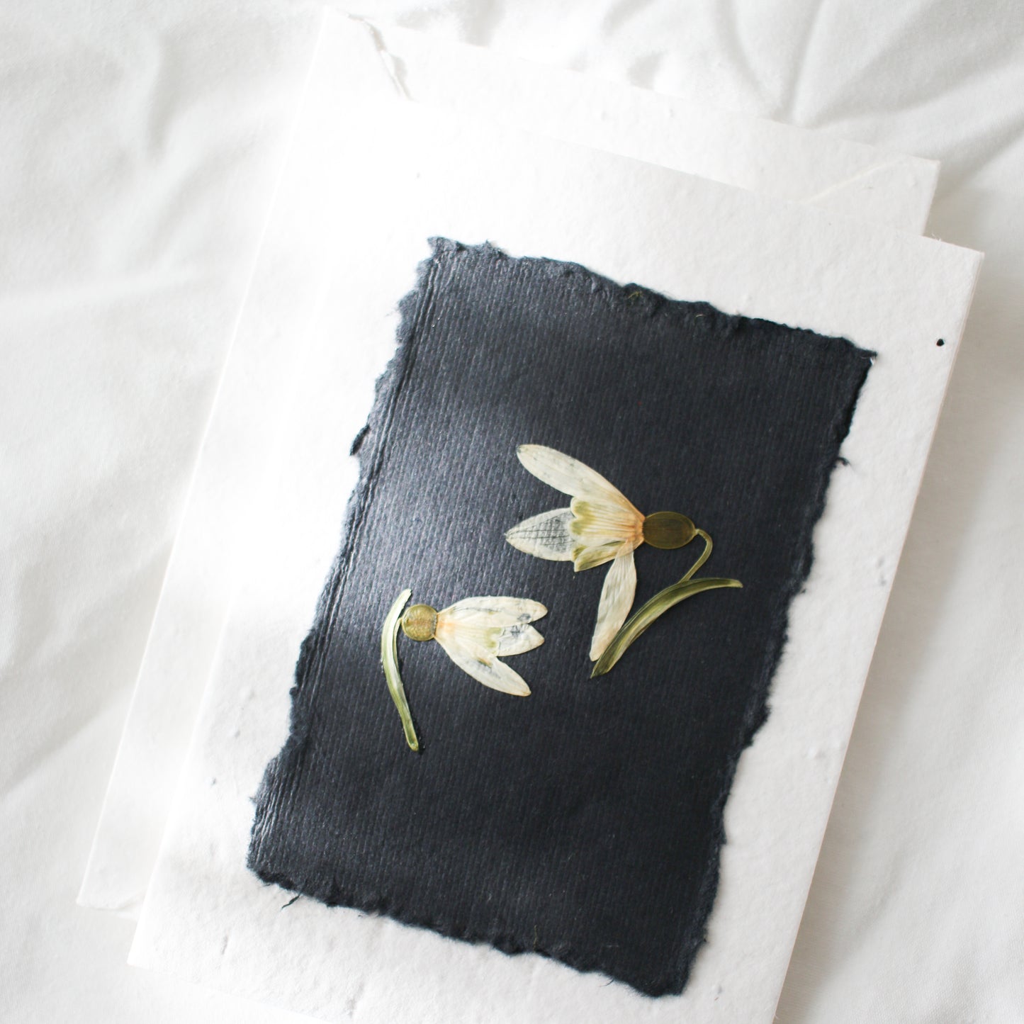 Pressed Flower Plantable Greeting Card