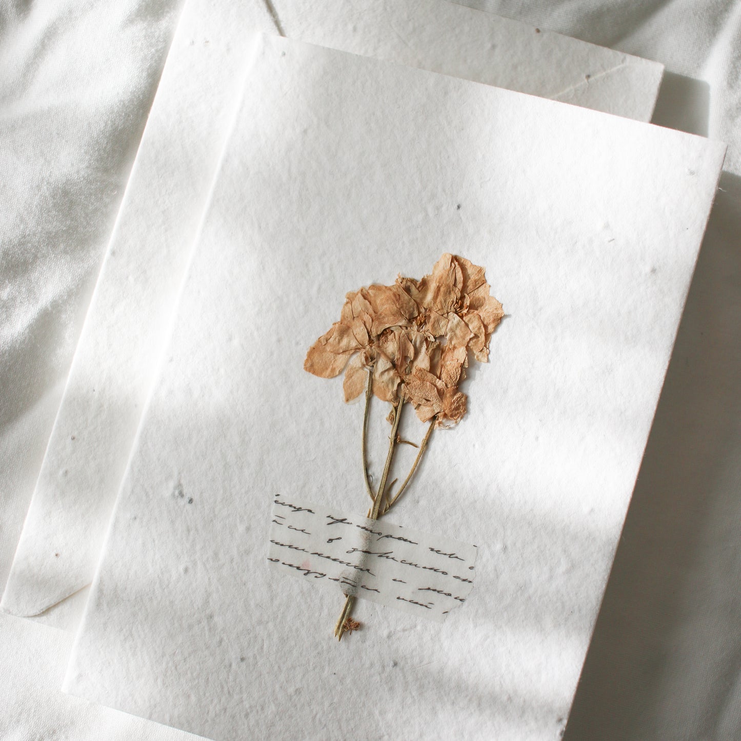 Pressed Flower Plantable Greeting Card