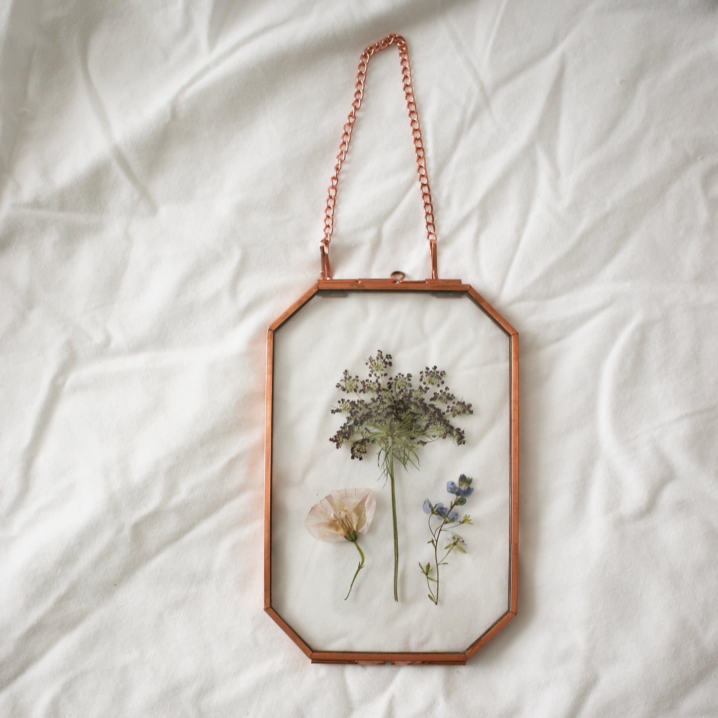 "Wildflower Field"
