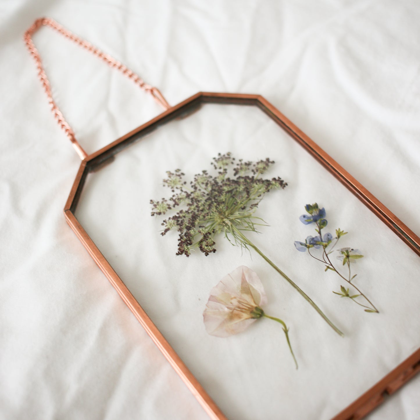 "Wildflower Field"