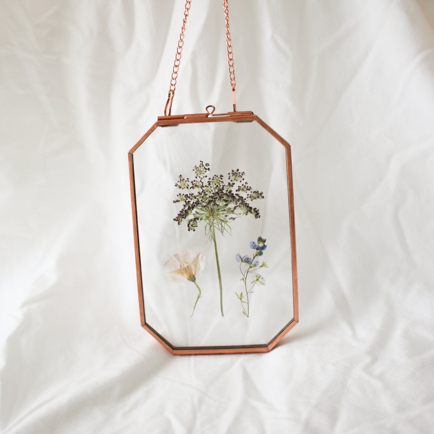 "Wildflower Field"