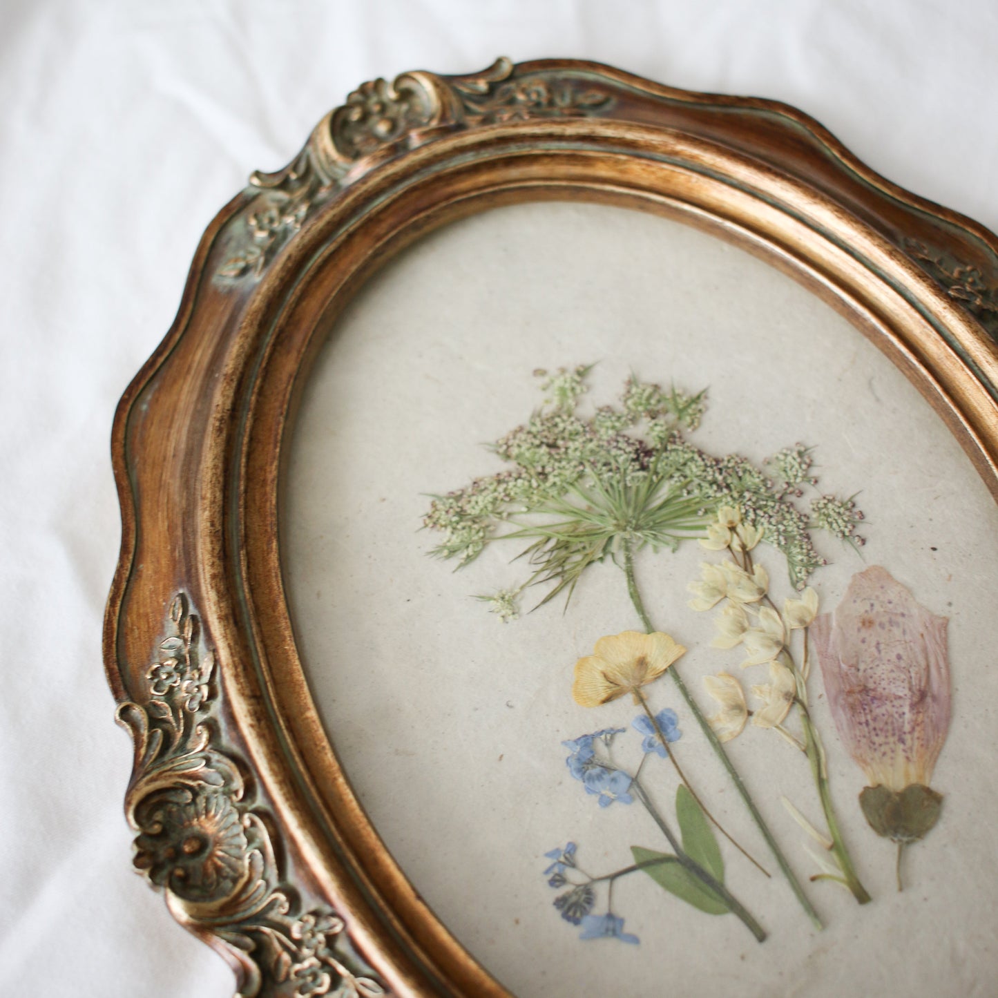Oval frame with pressed wildflowers