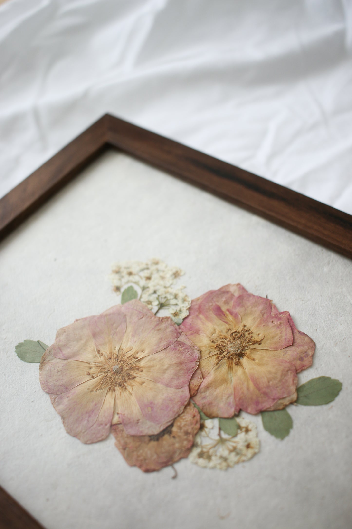 "A Rose Garden" Pressed Flowers Framed Art