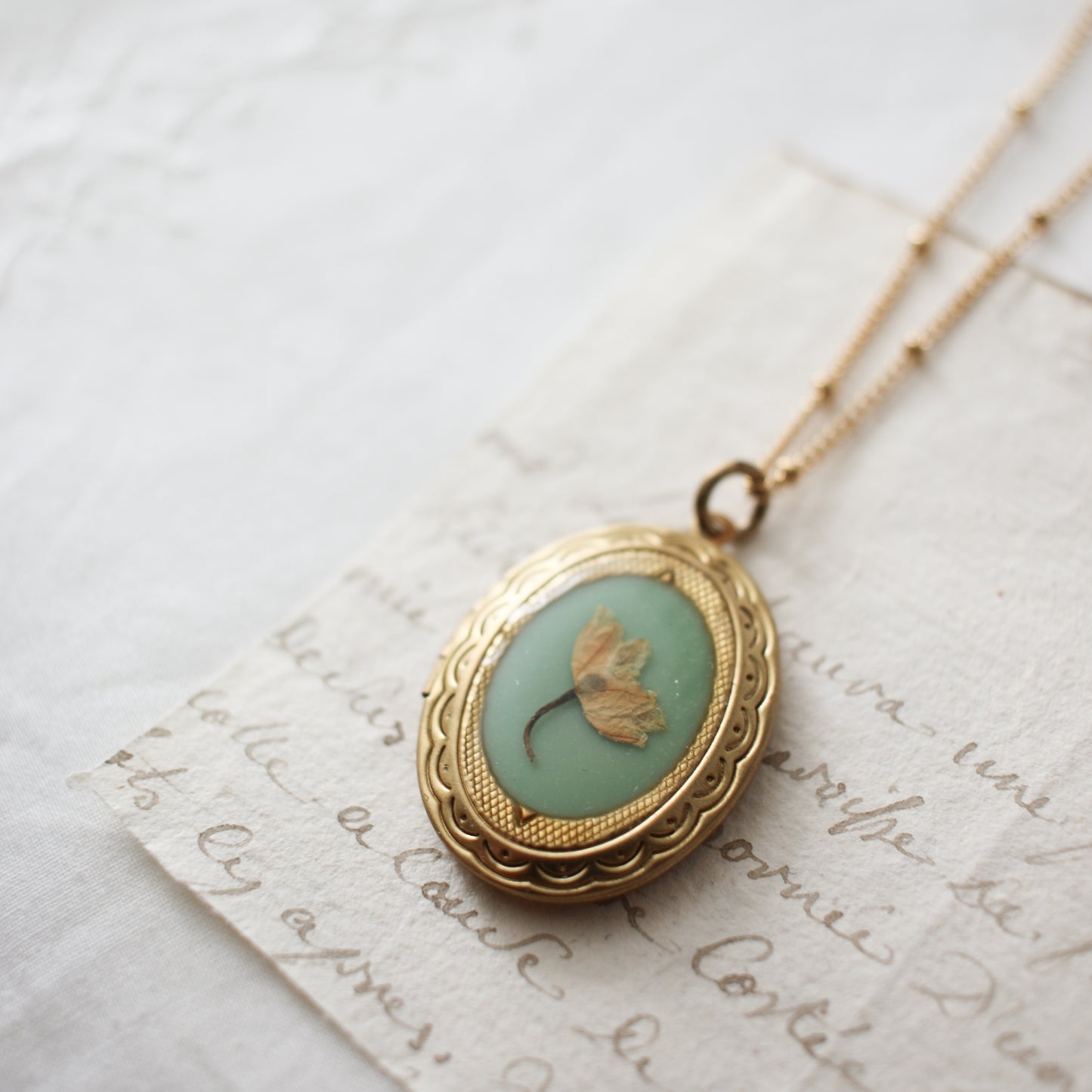 The Secret Garden Locket