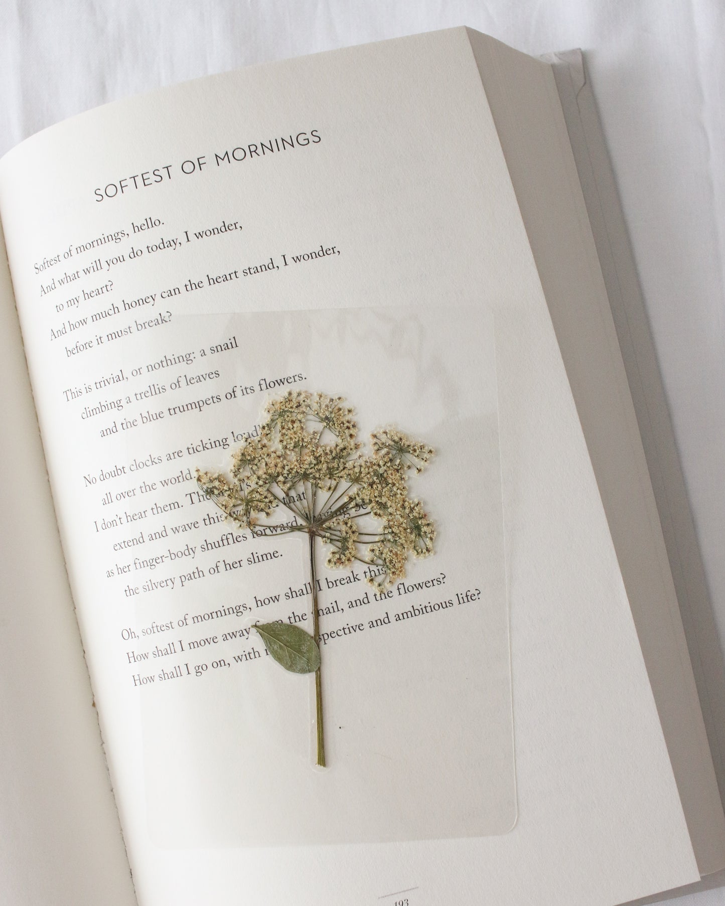 Elizabeth Bennet Bookmark