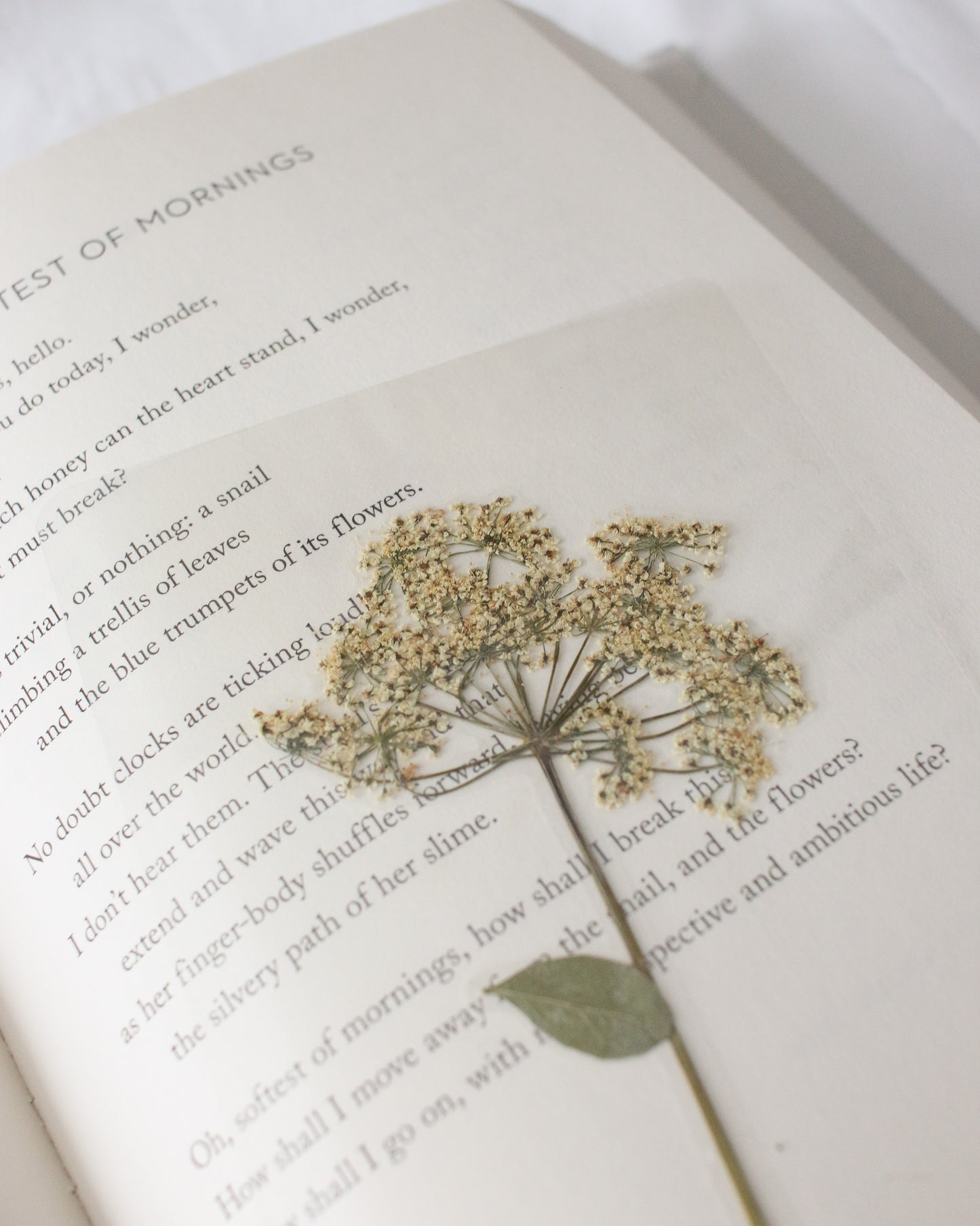Elizabeth Bennet Bookmark