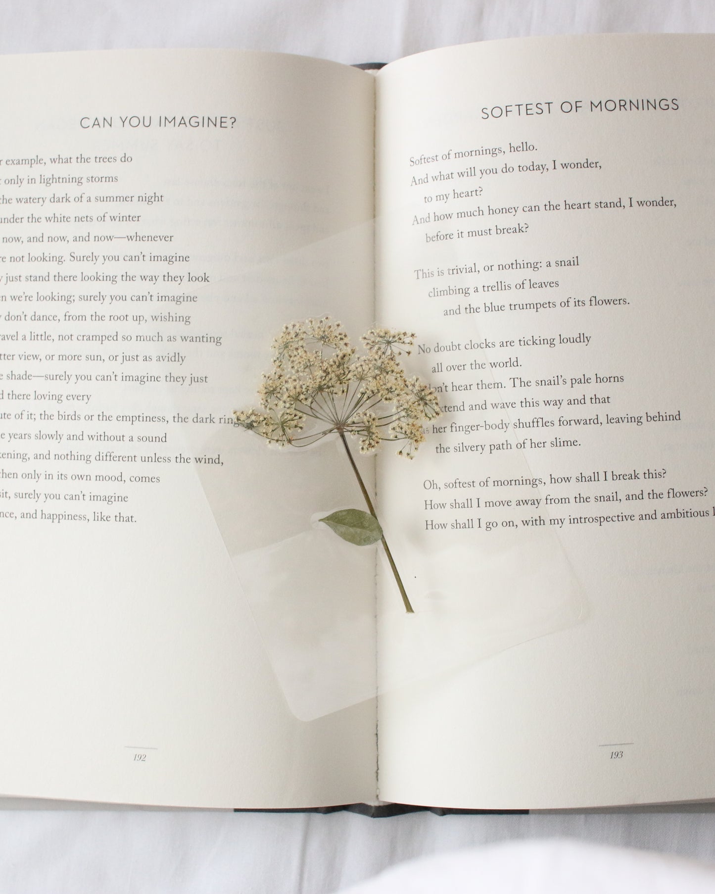 Elizabeth Bennet Bookmark