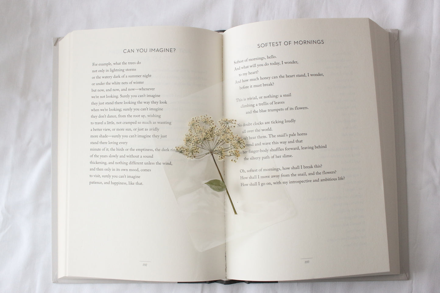 Elizabeth Bennet Bookmark