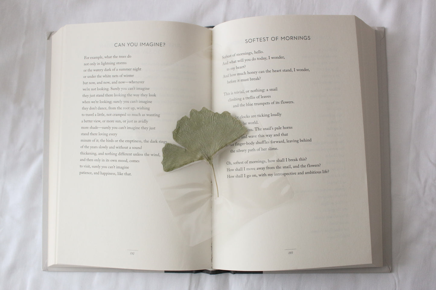 Fitzwilliam Darcy Bookmark