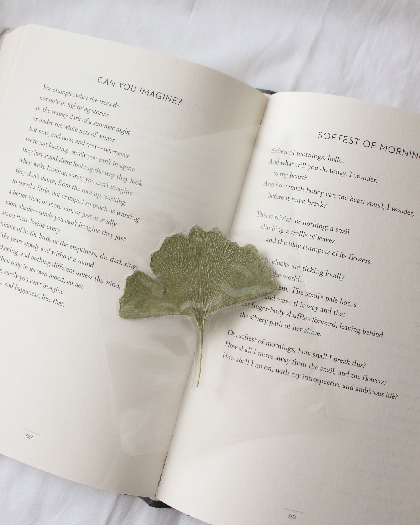 Fitzwilliam Darcy Bookmark
