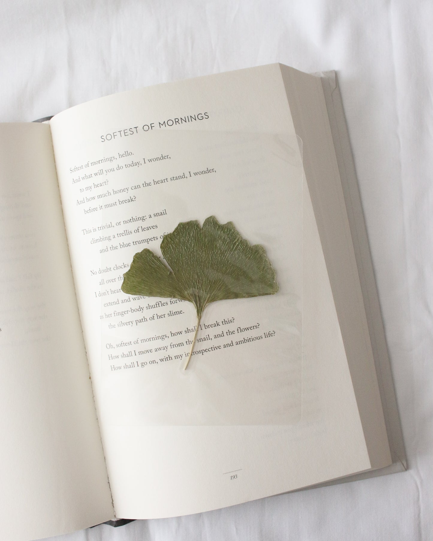 Fitzwilliam Darcy Bookmark