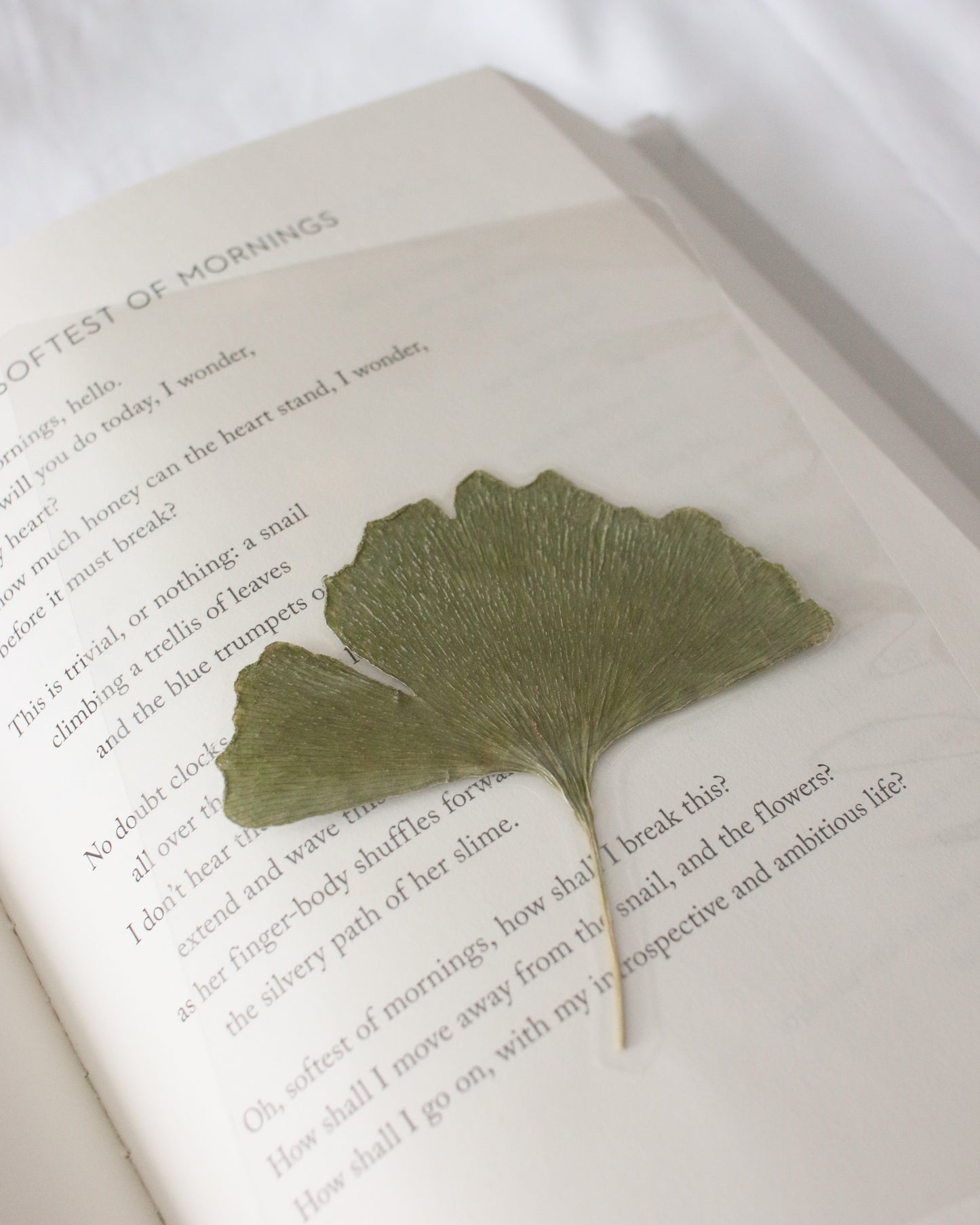 Fitzwilliam Darcy Bookmark