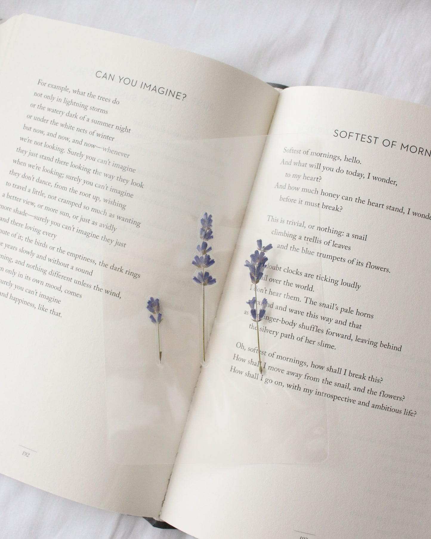 Pemberley Garden Bookmark