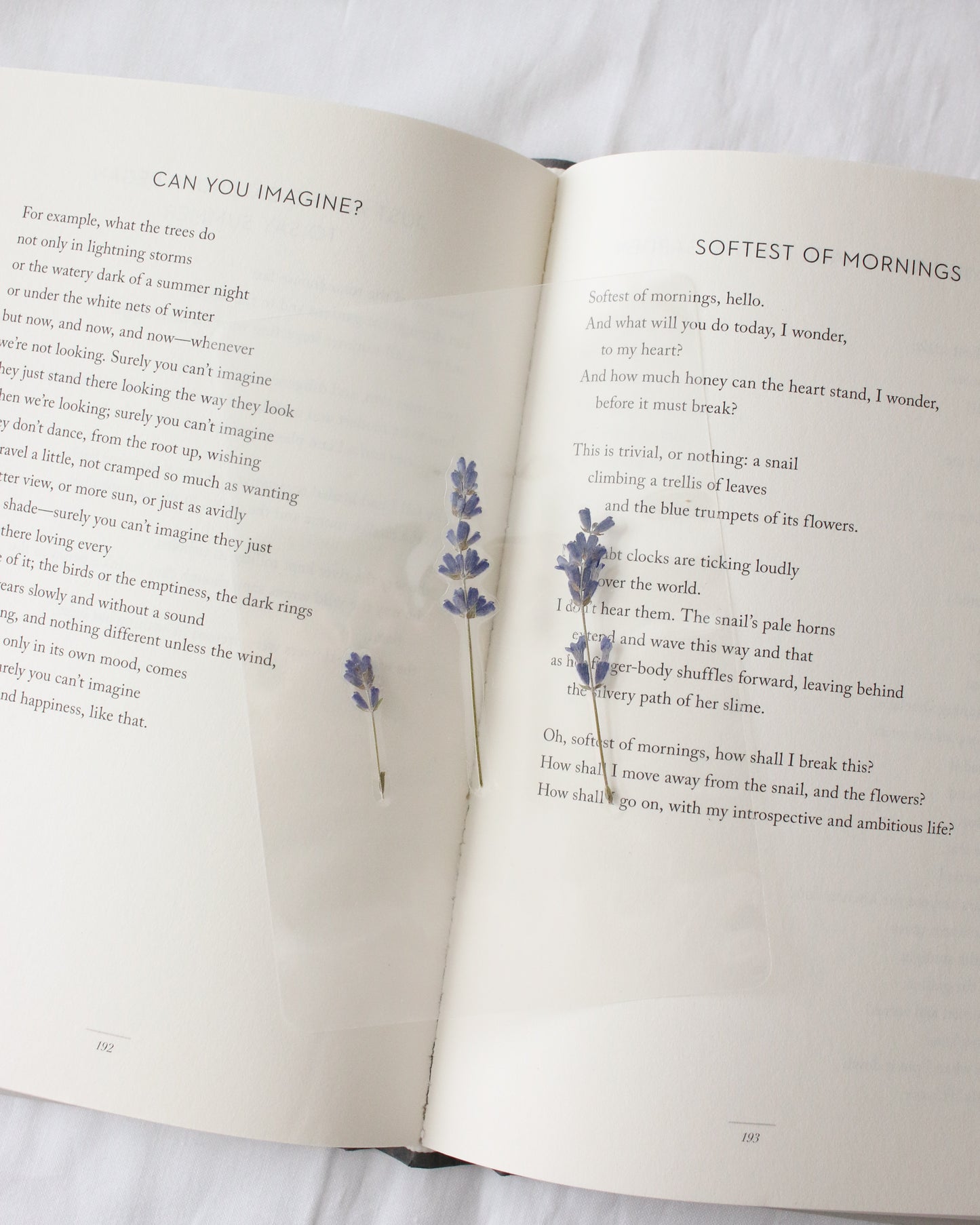 Pemberley Garden Bookmark