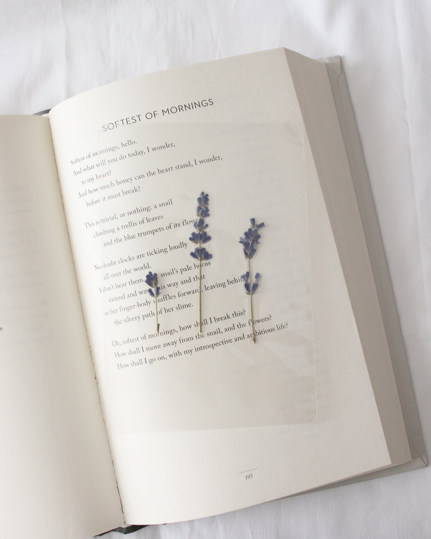 Pemberley Garden Bookmark