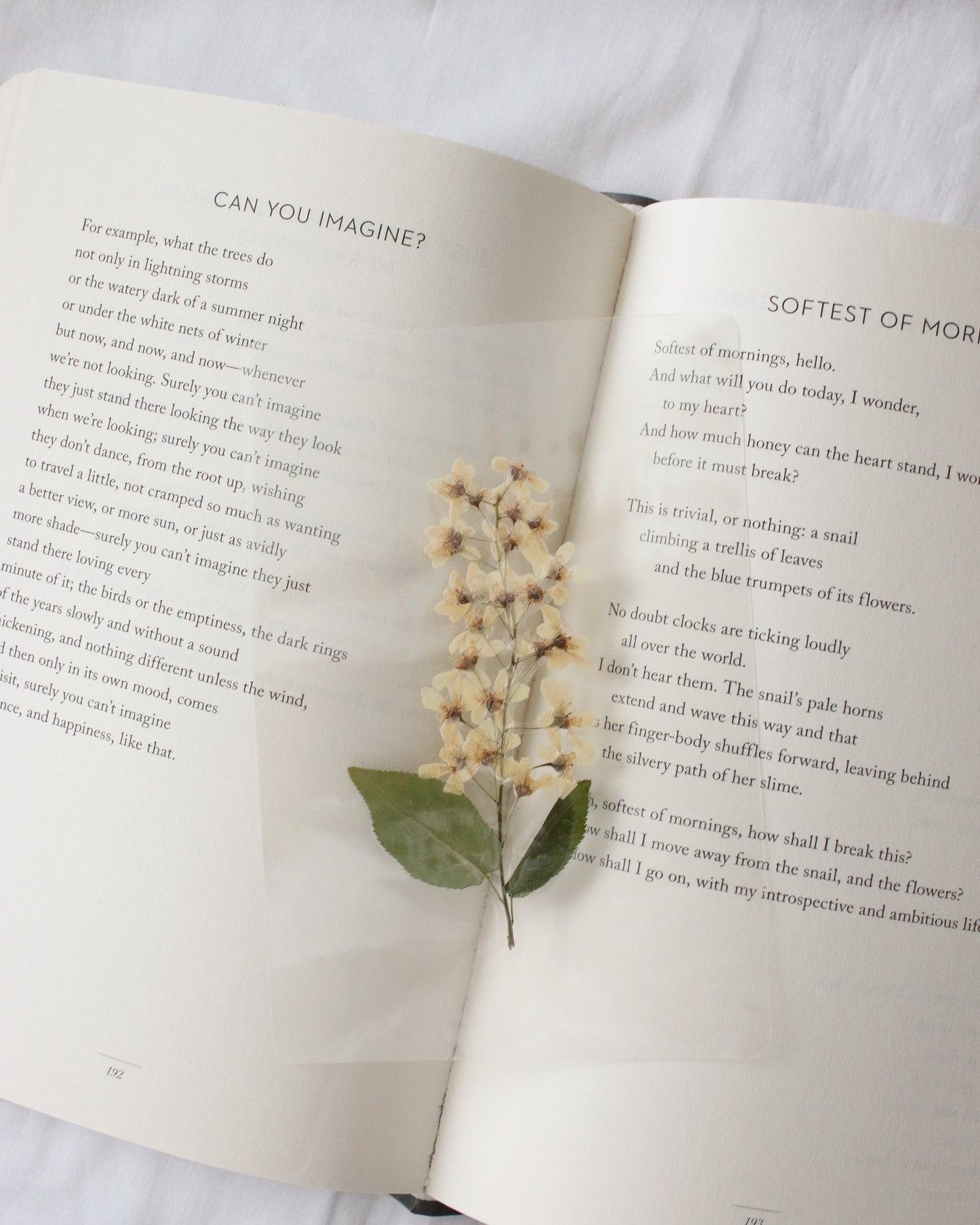 Jane Bennet Bookmark