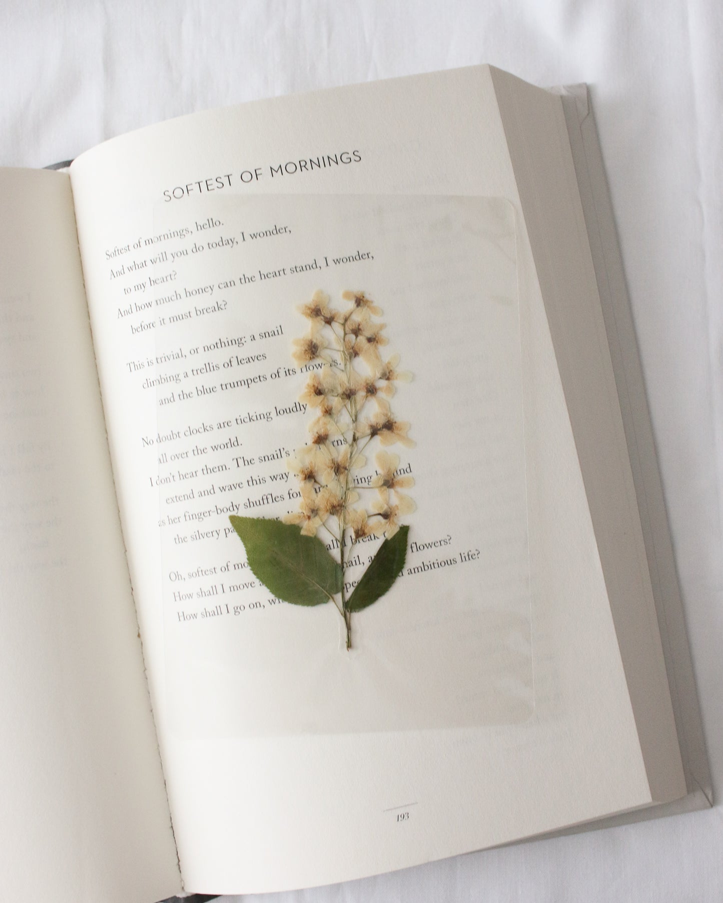 Jane Bennet Bookmark