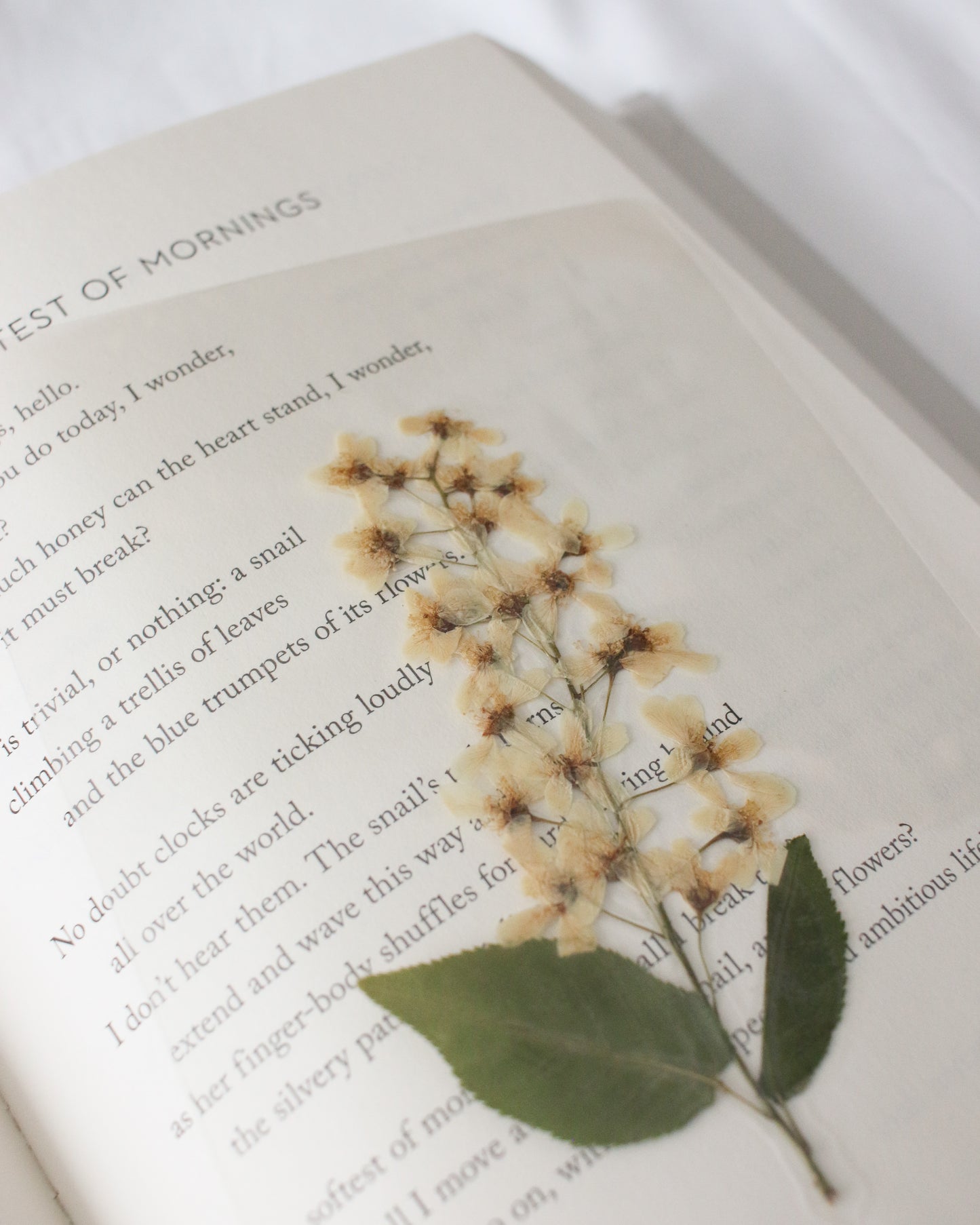 Jane Bennet Bookmark