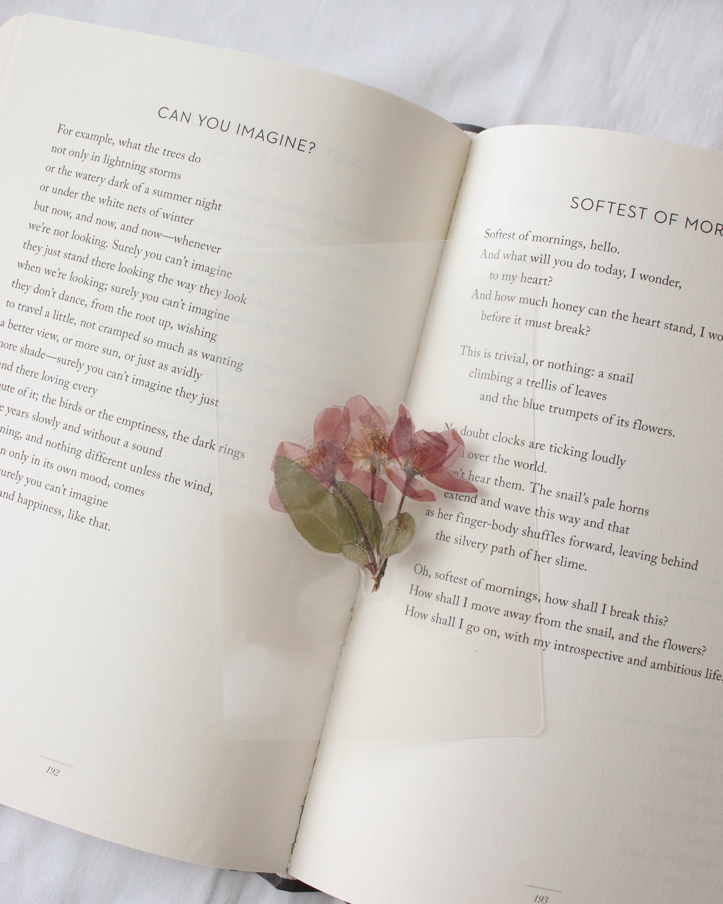 Charles Bingley Bookmark
