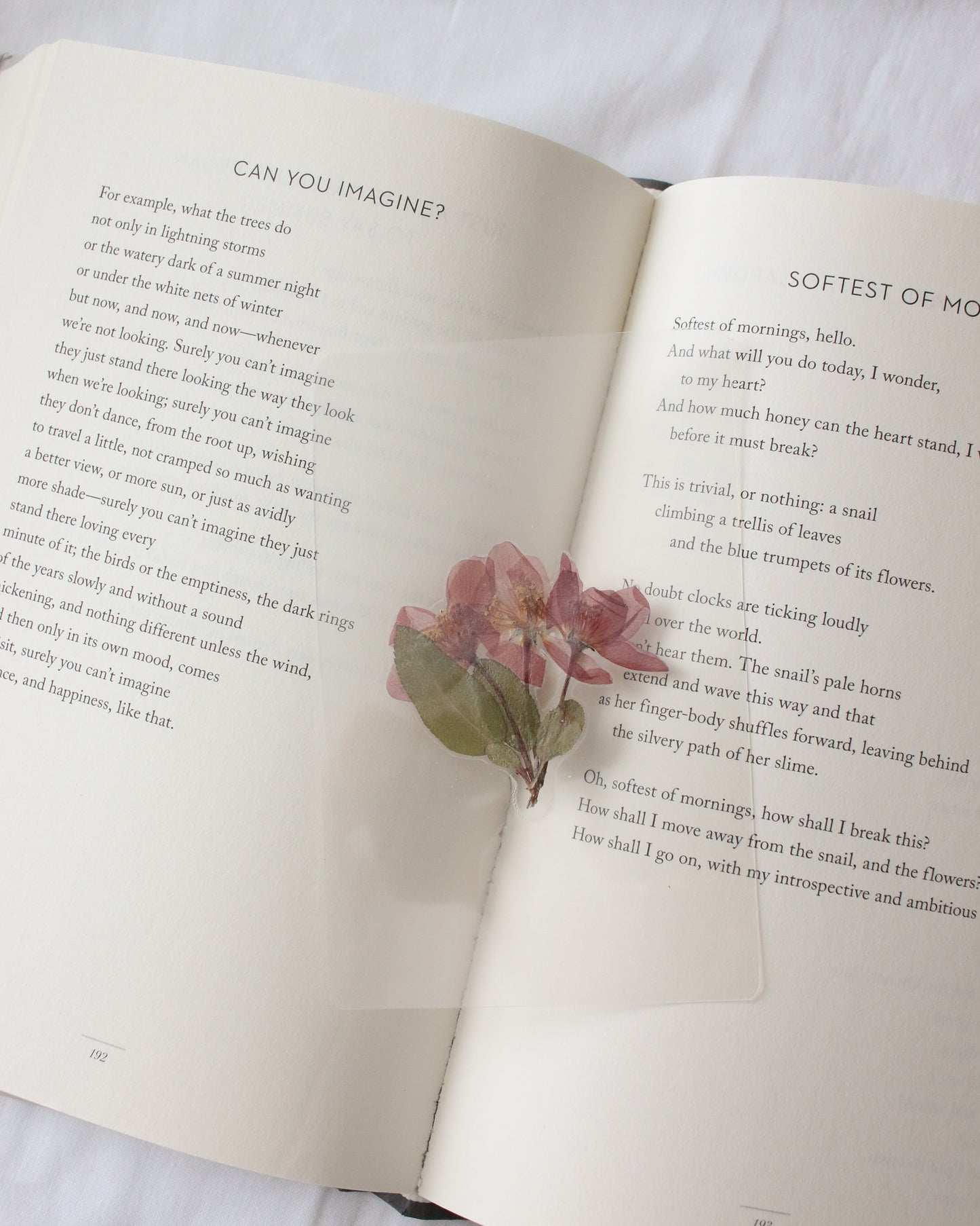 Charles Bingley Bookmark