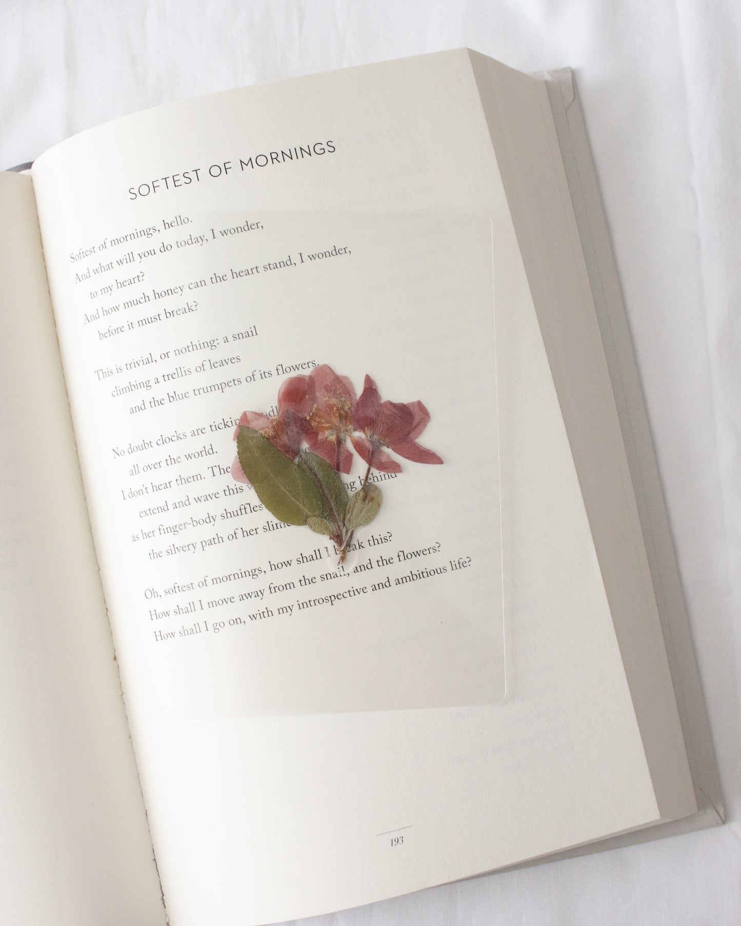 Charles Bingley Bookmark