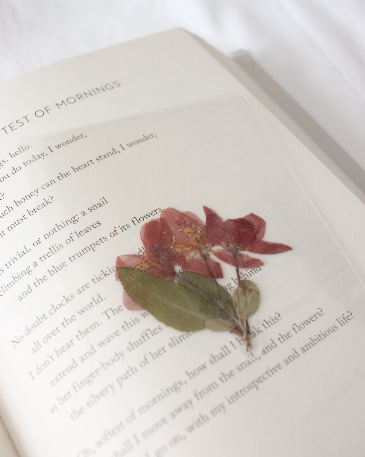 Charles Bingley Bookmark