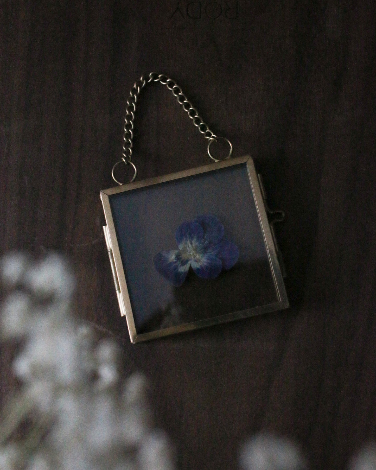 Rosings Garden