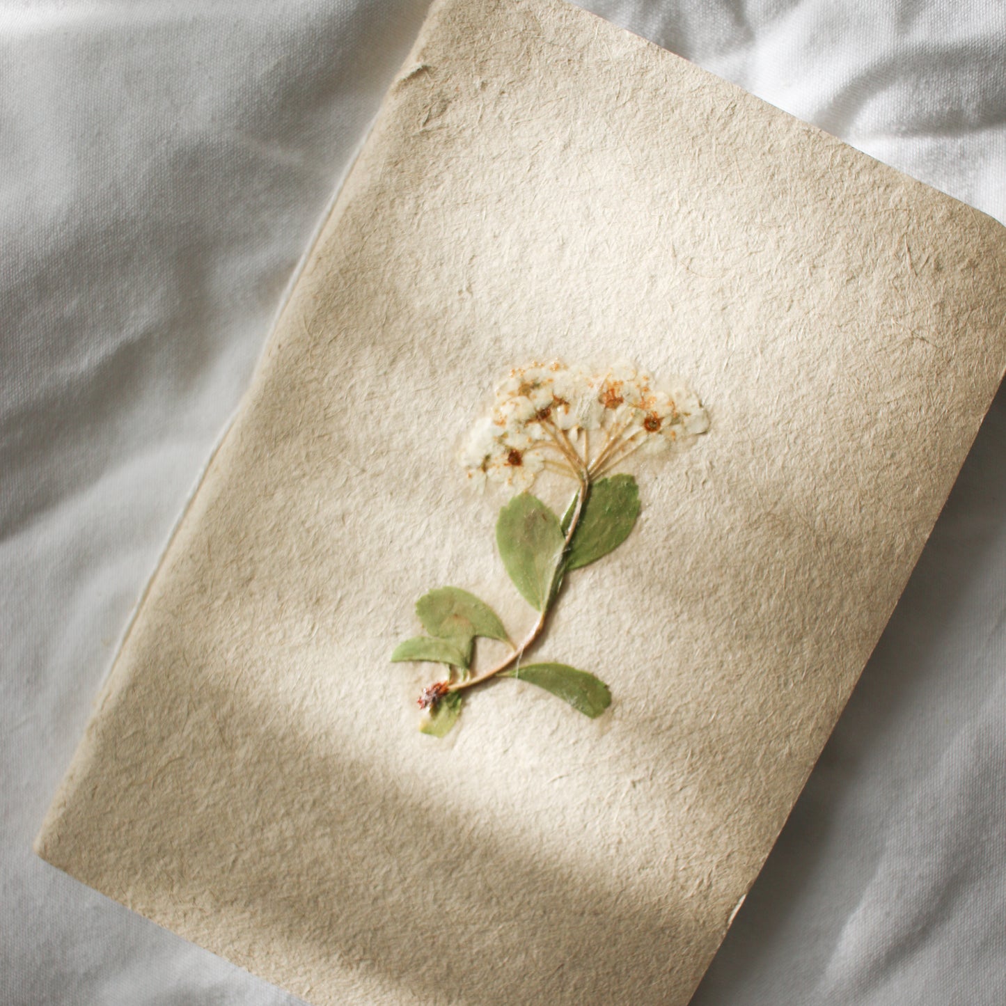 Pressed flower journal