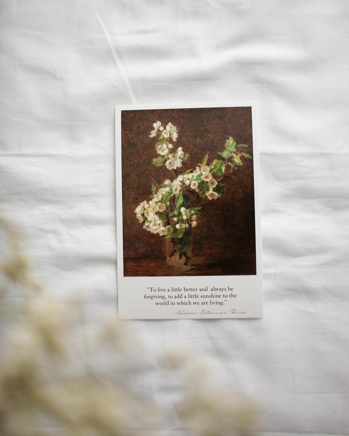 Postcard Set - Vignettes and Flowers of Old