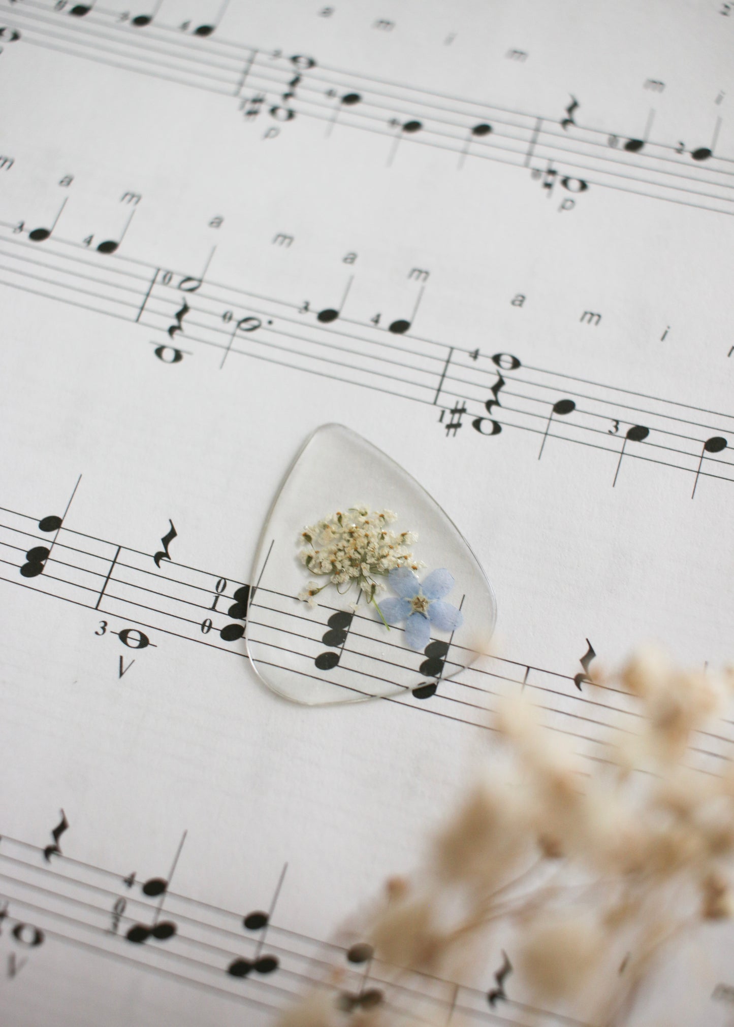 Guitar Pick - Clear Pick