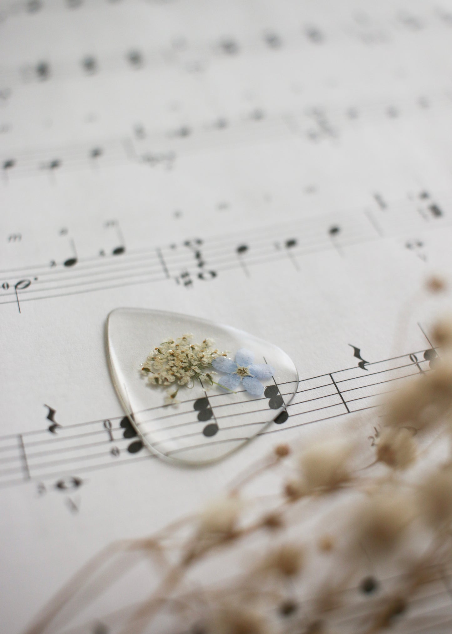 Guitar Pick - Clear Pick
