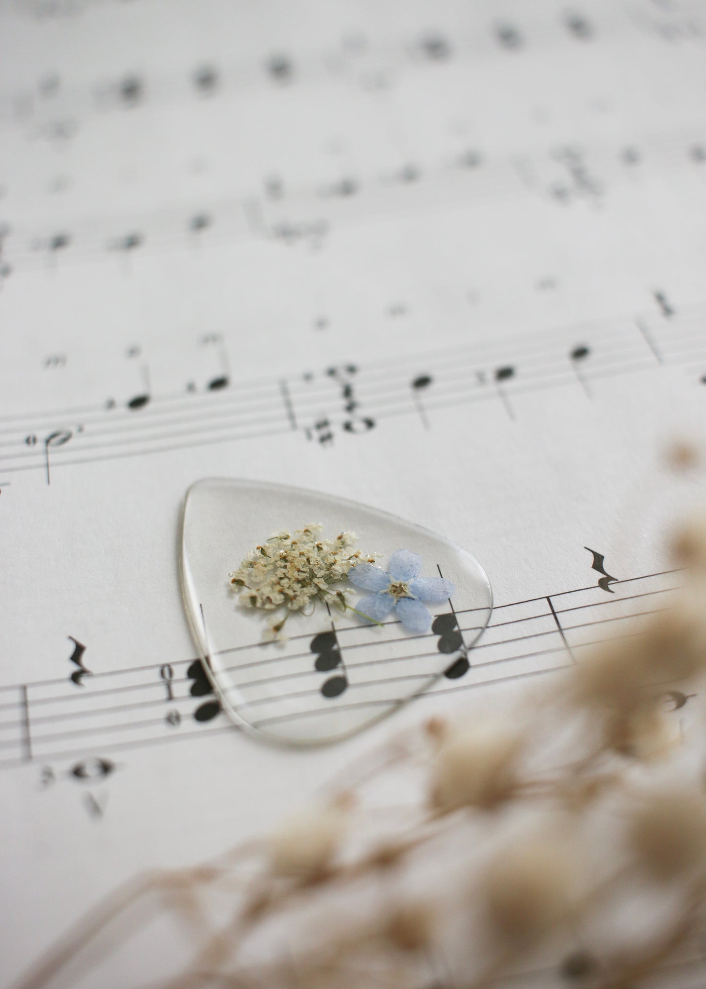 Guitar Pick - Clear Pick
