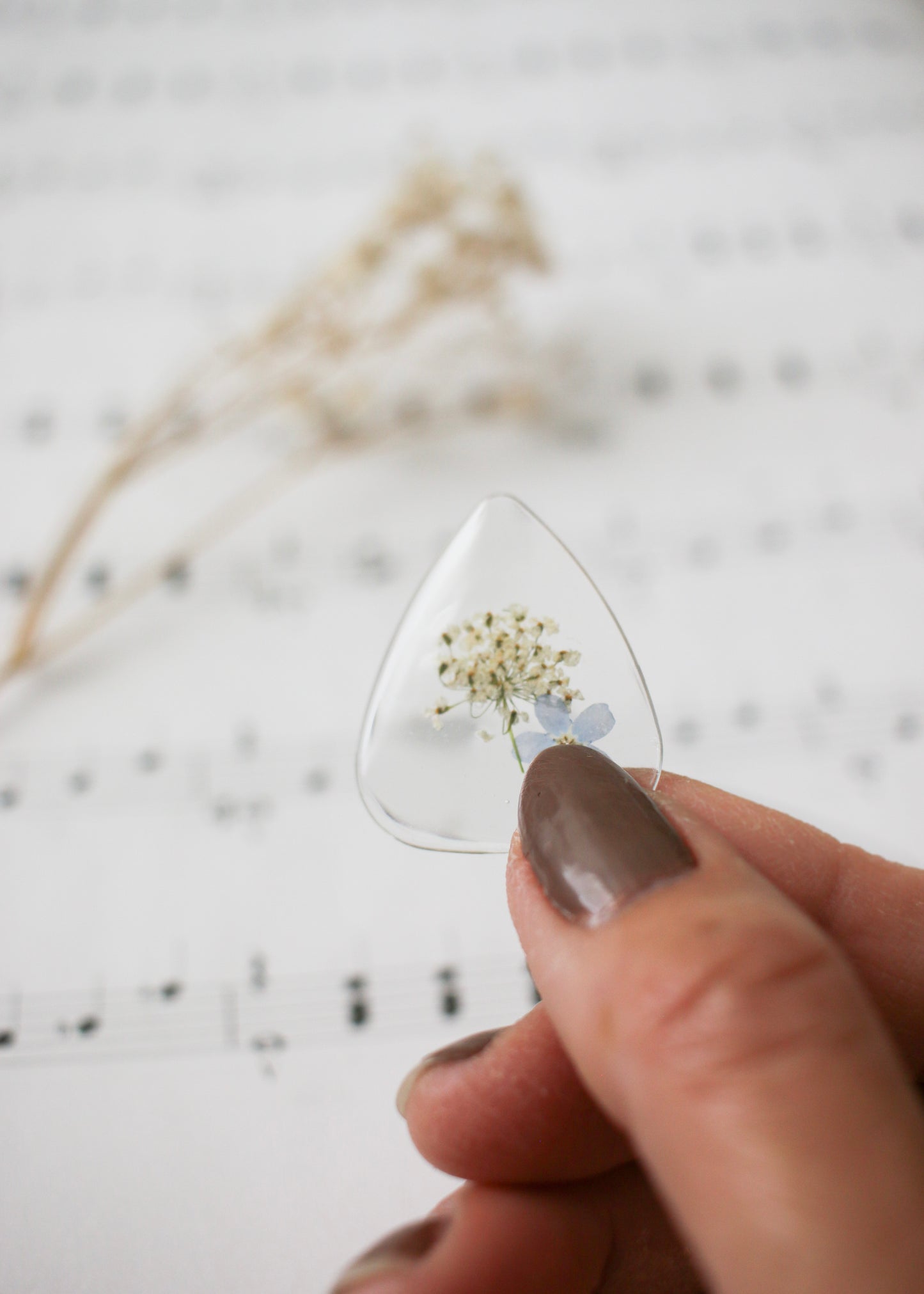 Guitar Pick - Clear Pick