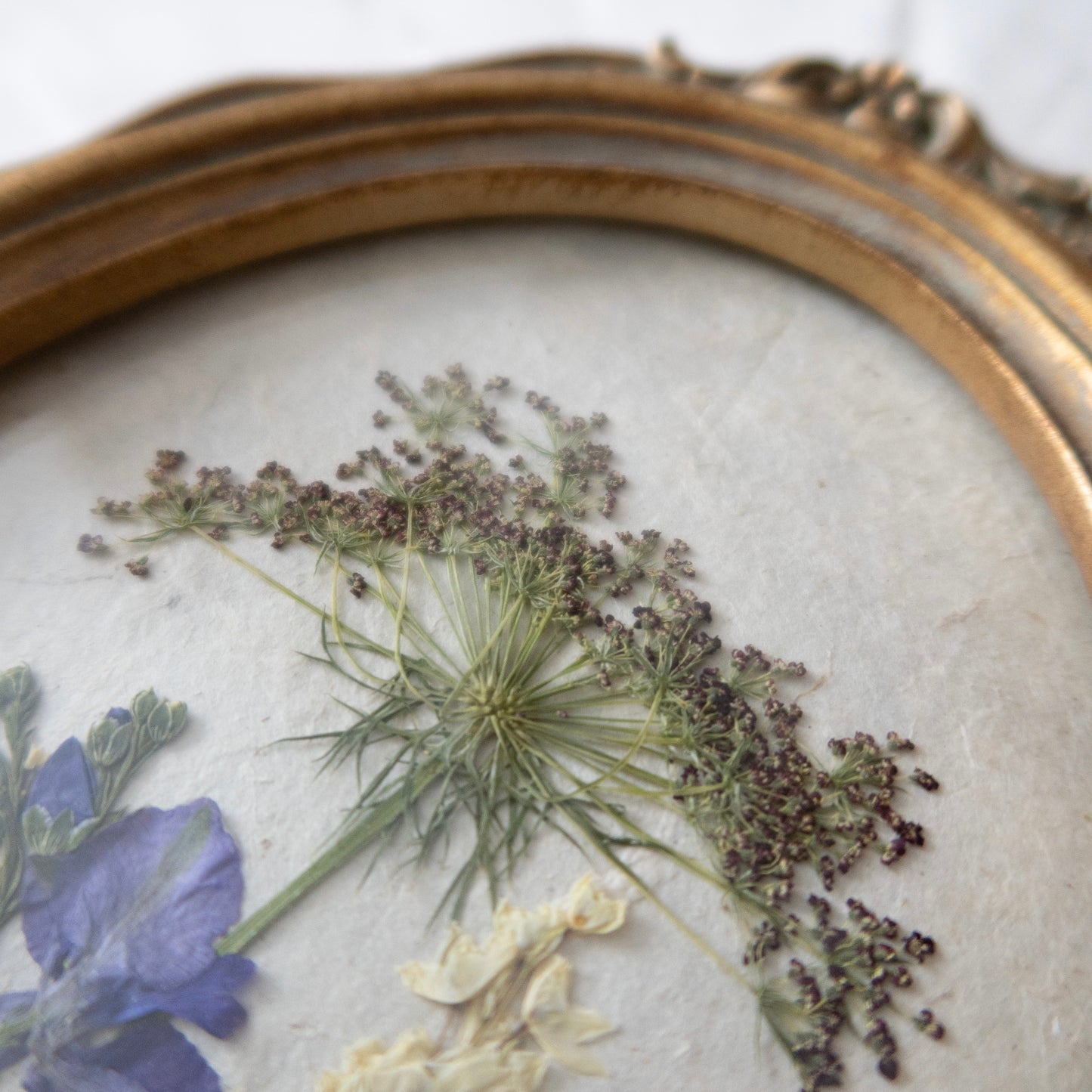 The Little Women Oval frame with pressed wildflowers