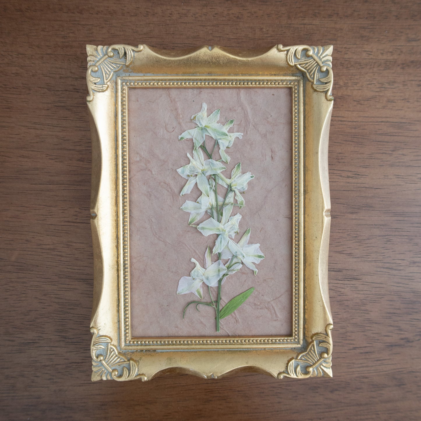 Pressed White Larkspur in a Vintage Frame