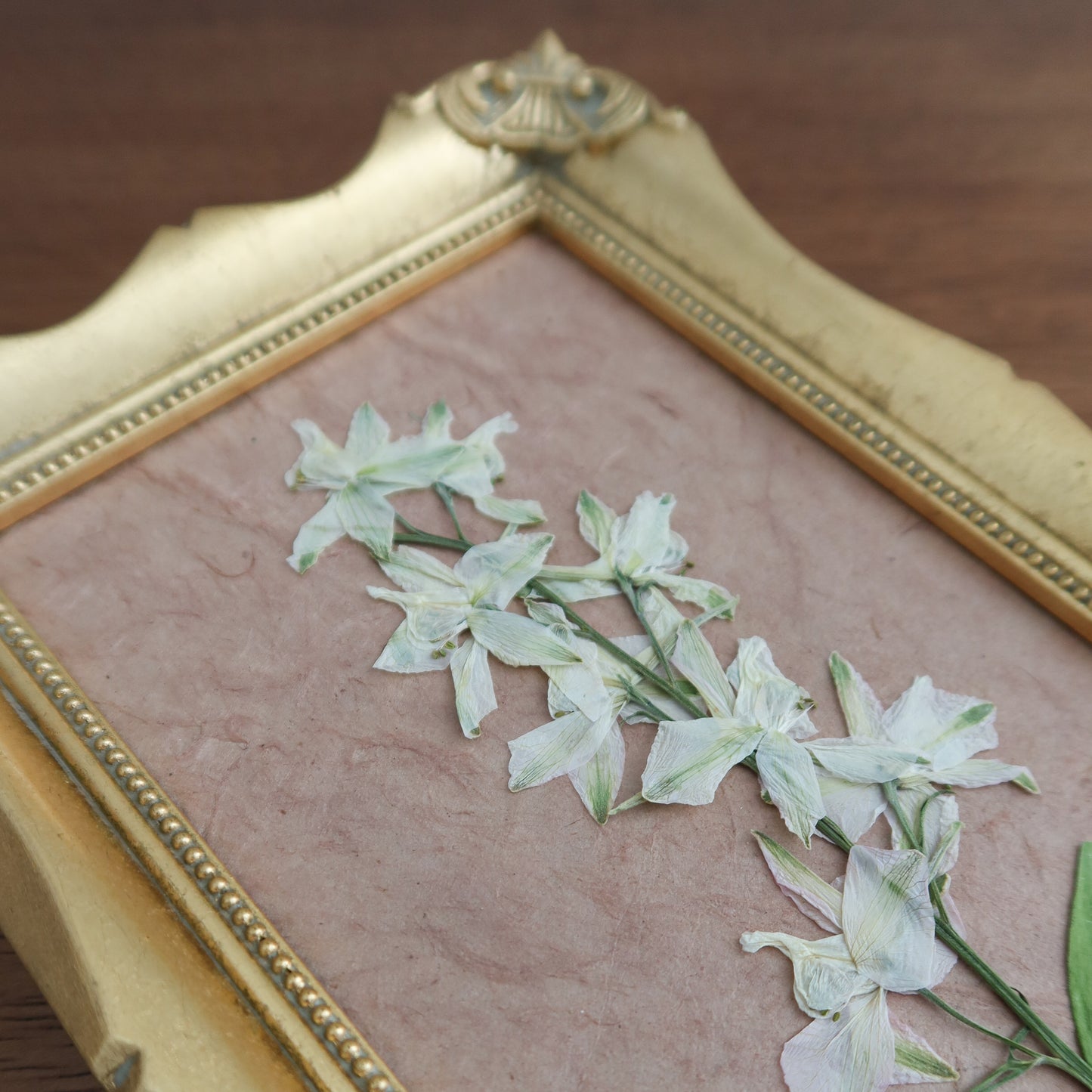 Pressed White Larkspur in a Vintage Frame