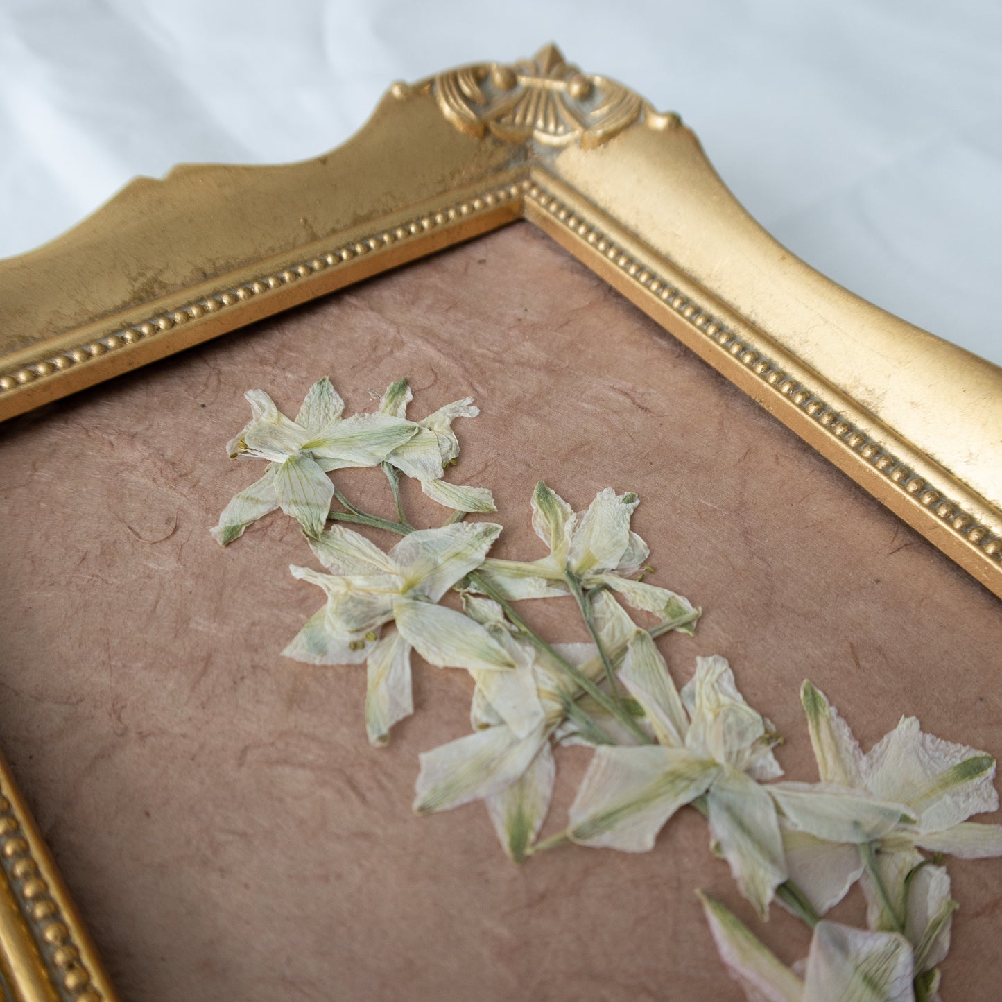 Pressed White Larkspur in a Vintage Frame