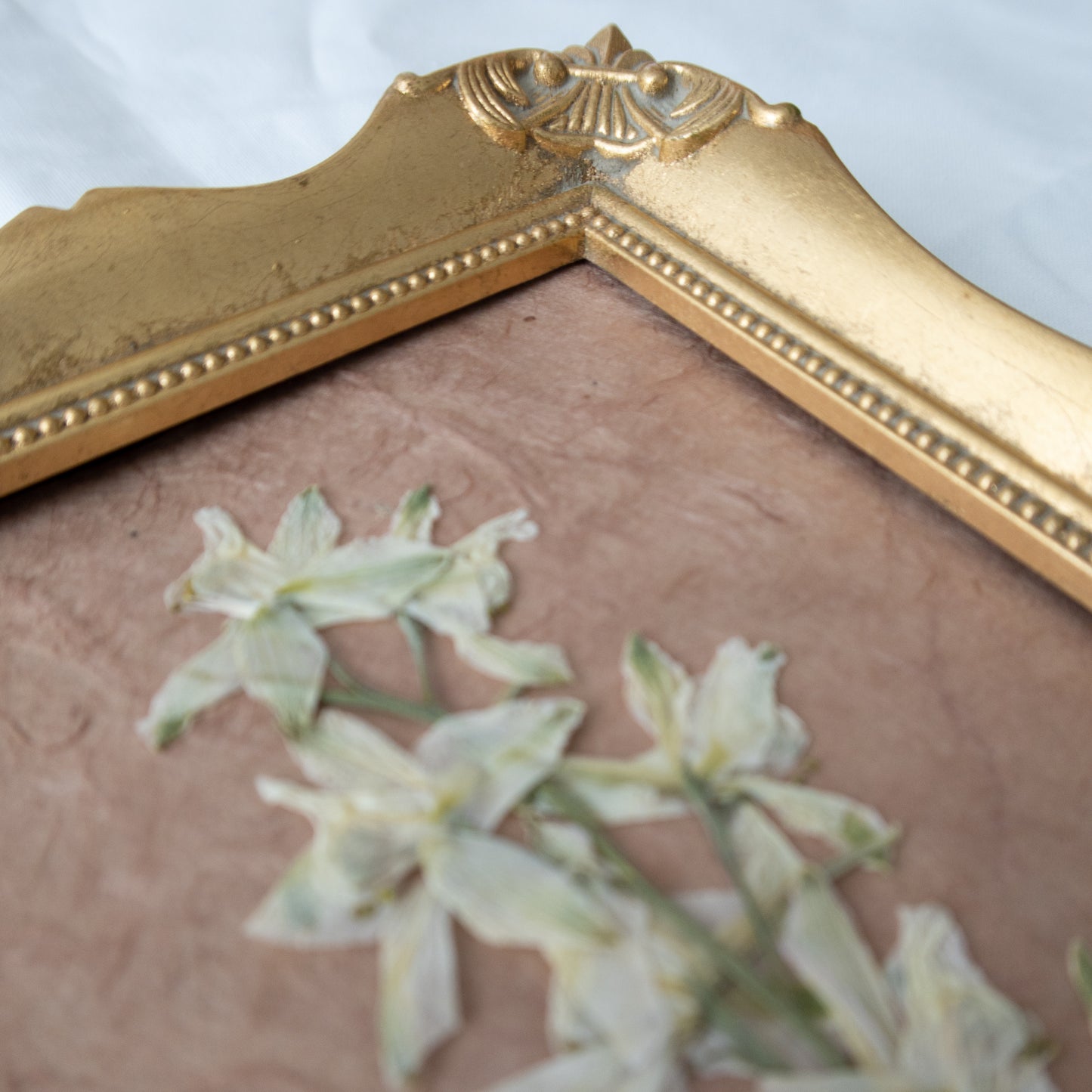 Pressed White Larkspur in a Vintage Frame