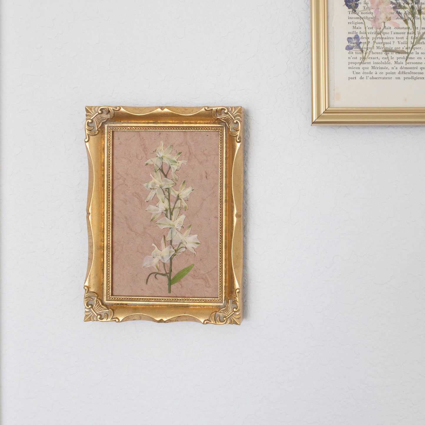 Pressed White Larkspur in a Vintage Frame